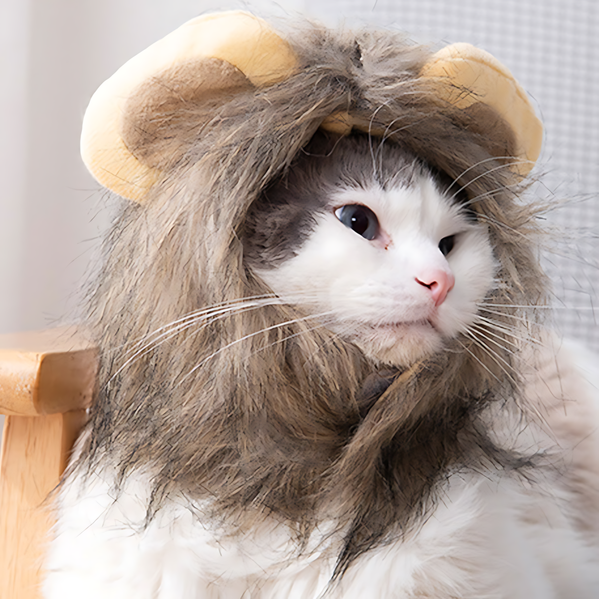 Lion Mane Wig for Cats and Dogs – Pet Costume Hat_CWAH3745