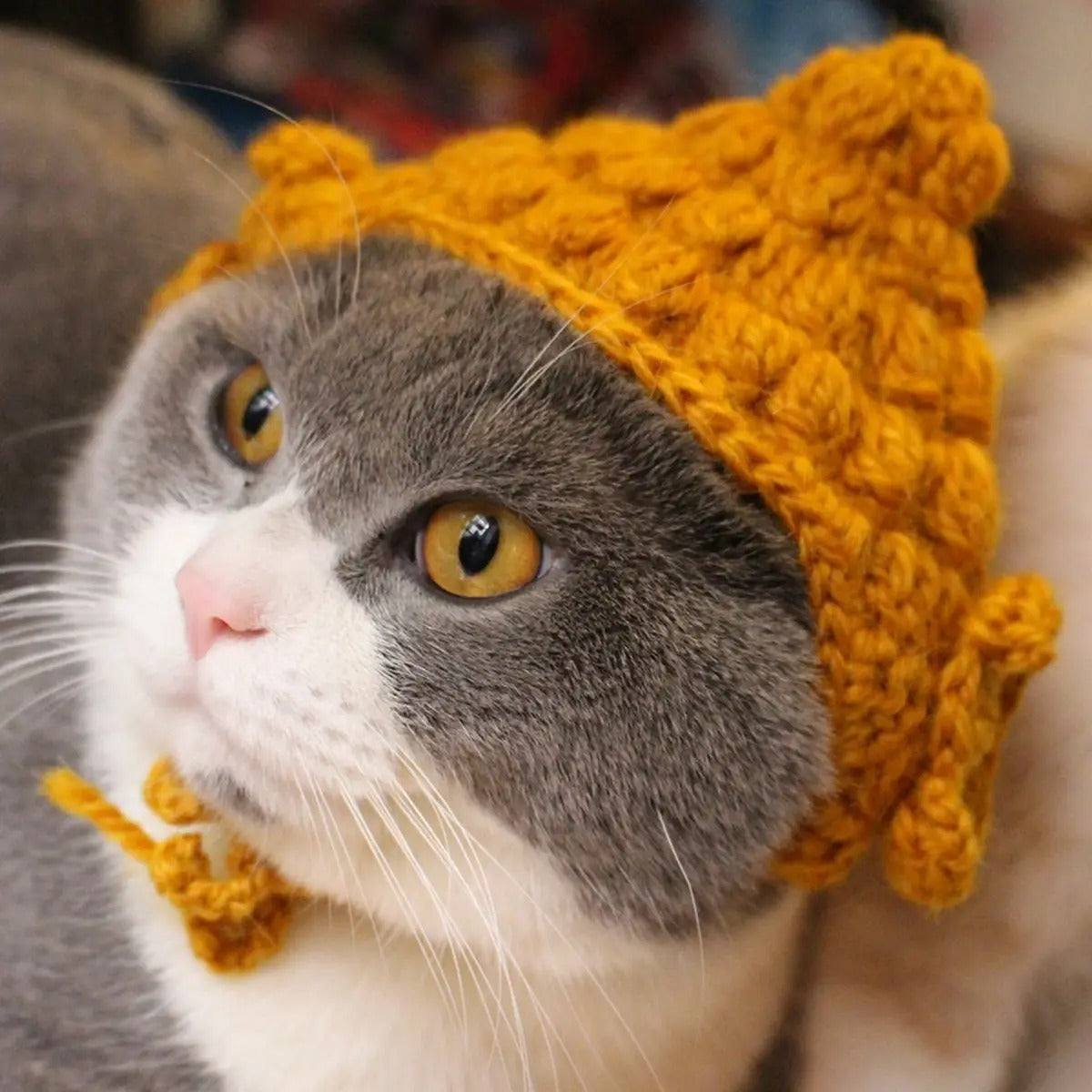 Funny Buddha Hat for Cats – Handmade Costume_CWAH3710