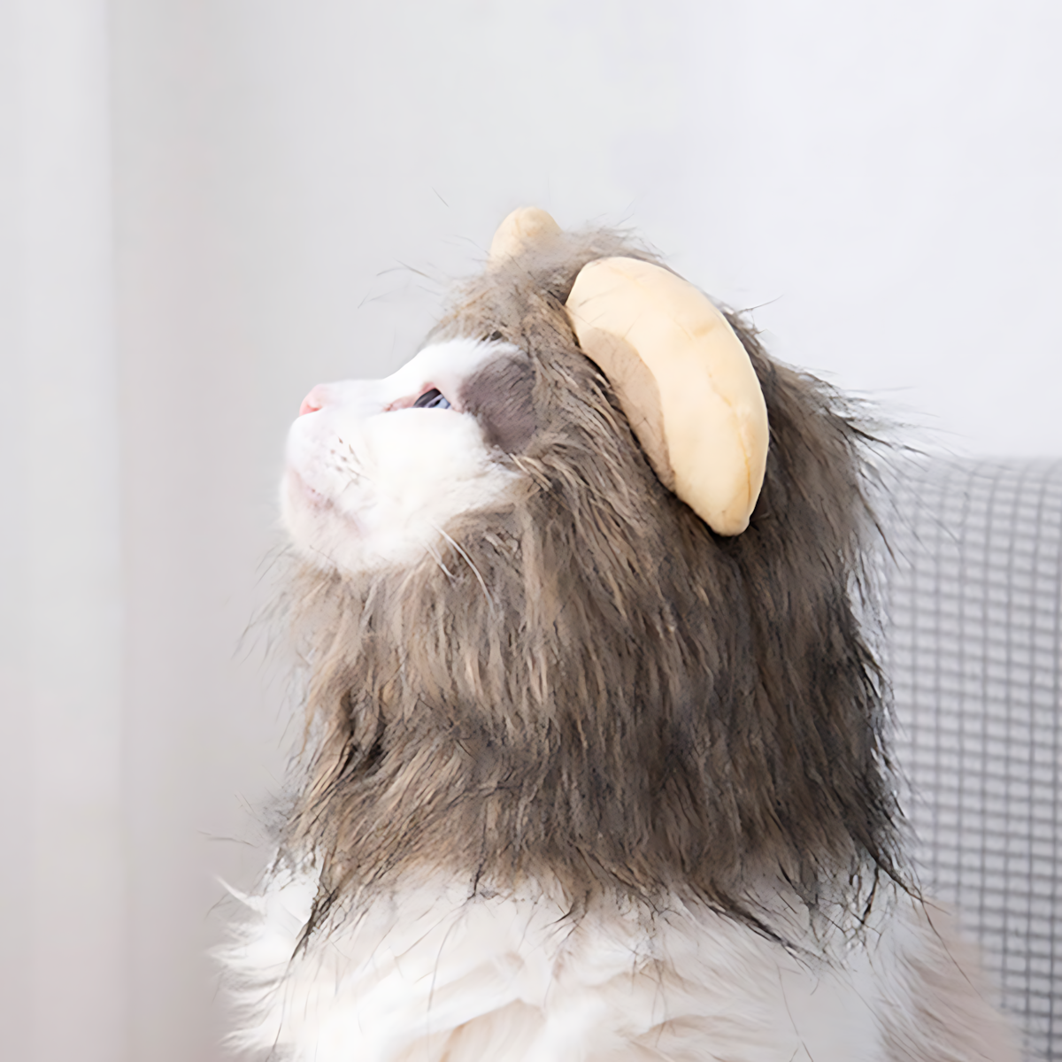 Lion Mane Wig for Cats and Dogs – Pet Costume Hat_CWAH3745