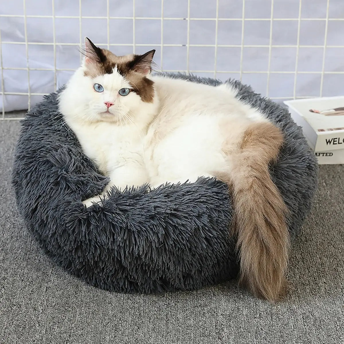 Fluffy Donut Cat Bed – Plush & Cozy Pet Cushion_CWMM5279