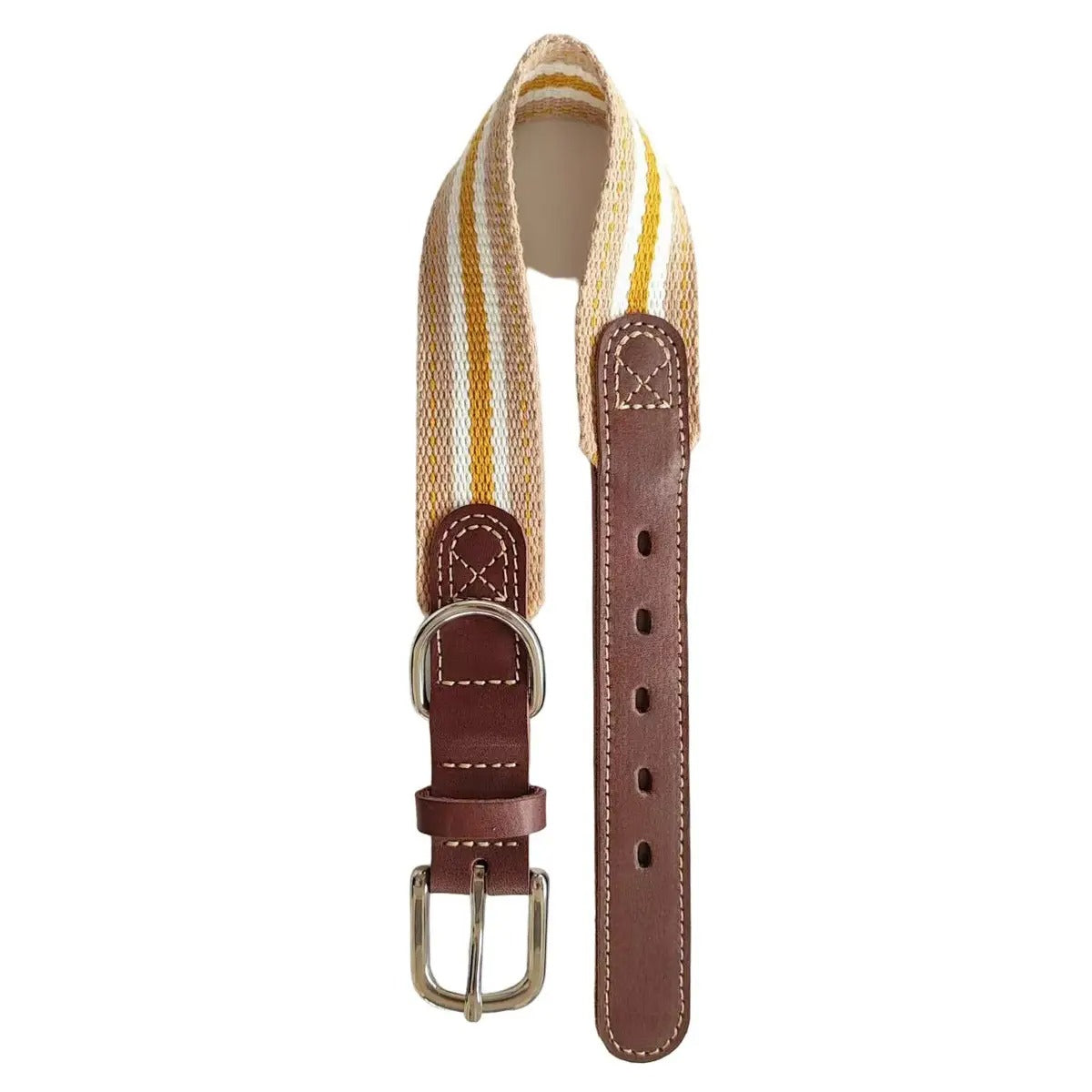 Leather Dog Collar with Woven Strap, Full-Grain_CWMM7690