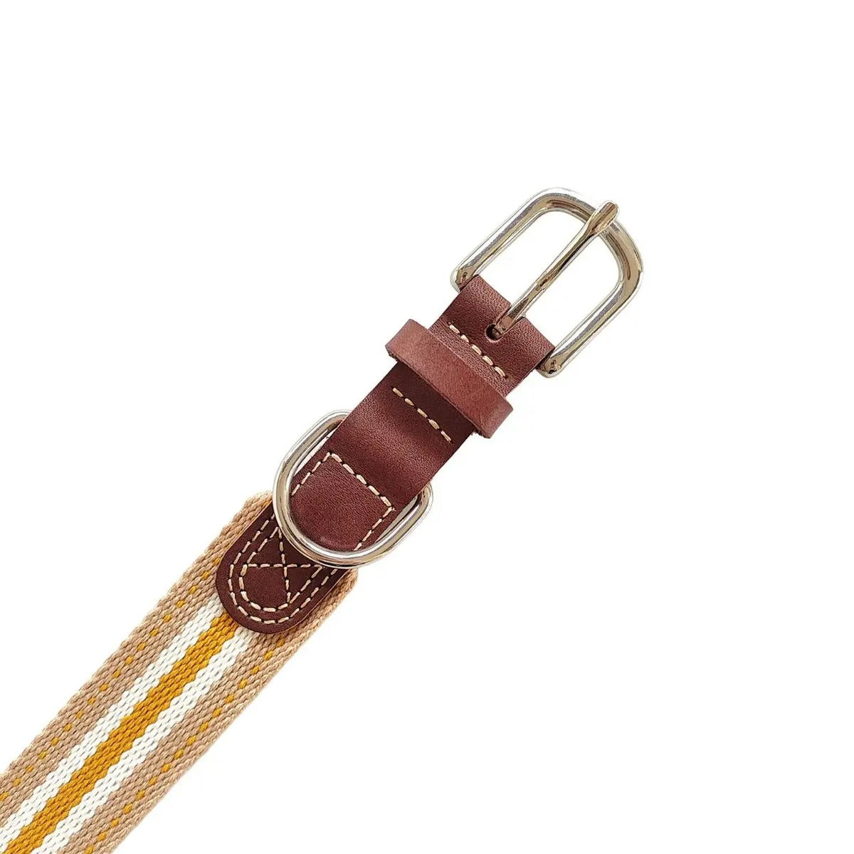 Leather Dog Collar with Woven Strap, Full-Grain_CWMM7690