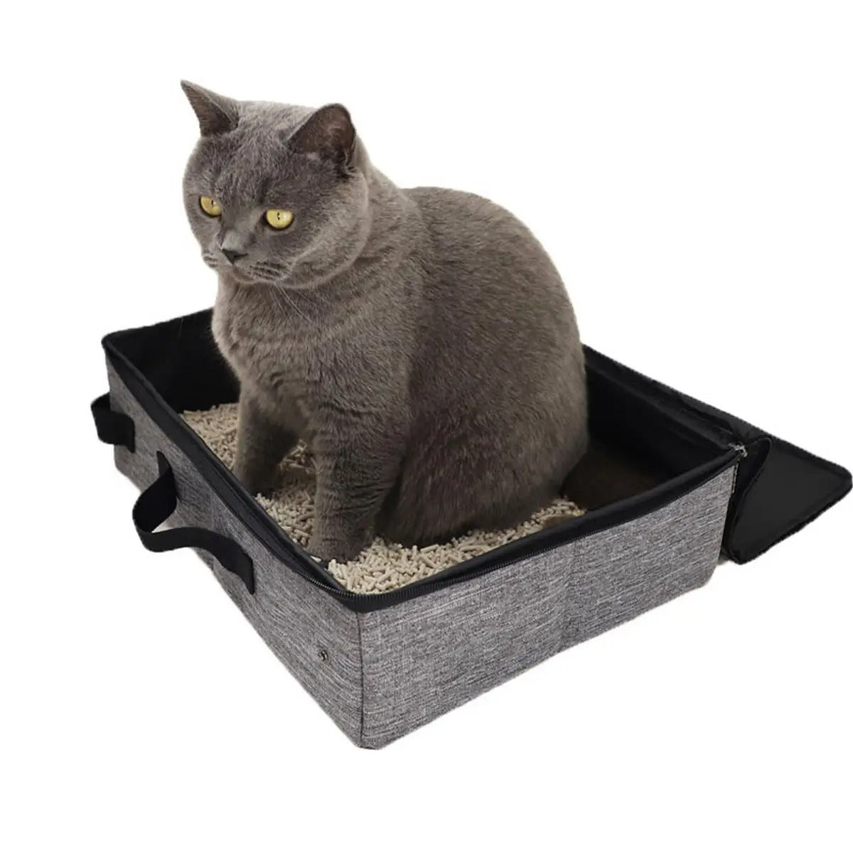 Foldable Waterproof Travel Litter Box for Cats_CWMM5992