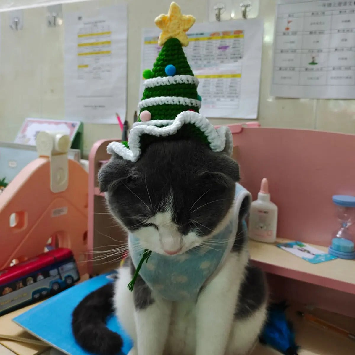 Handmade Christmas Knit Hat for Cats & Dogs_CWAH3708