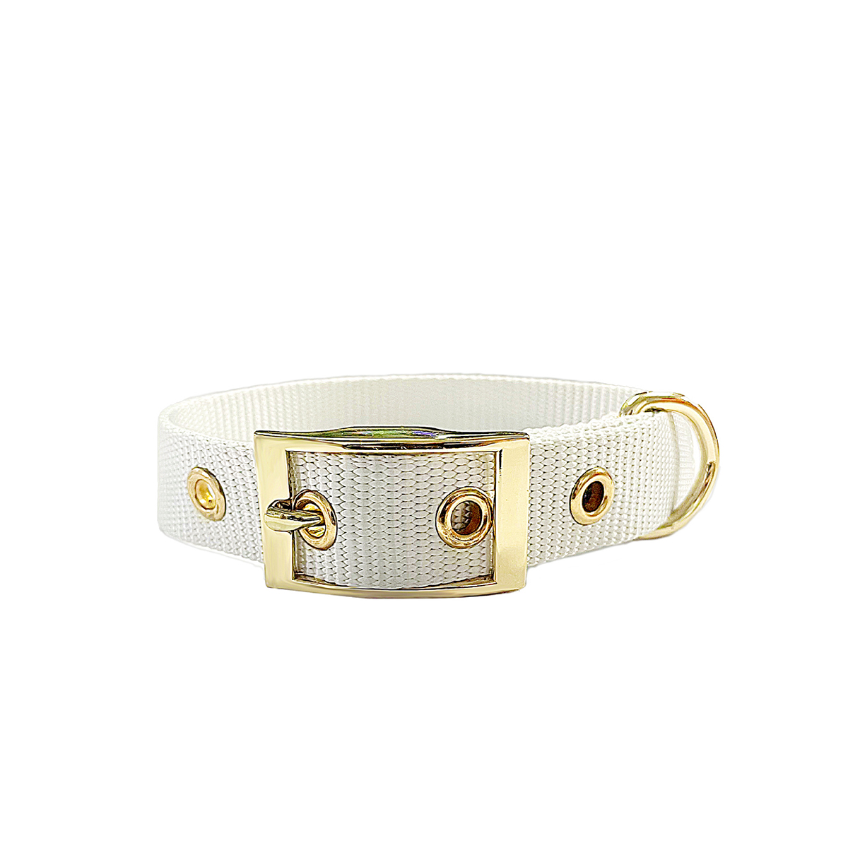 Adjustable Webbing Dog Collar with Buckle_CWMM7446