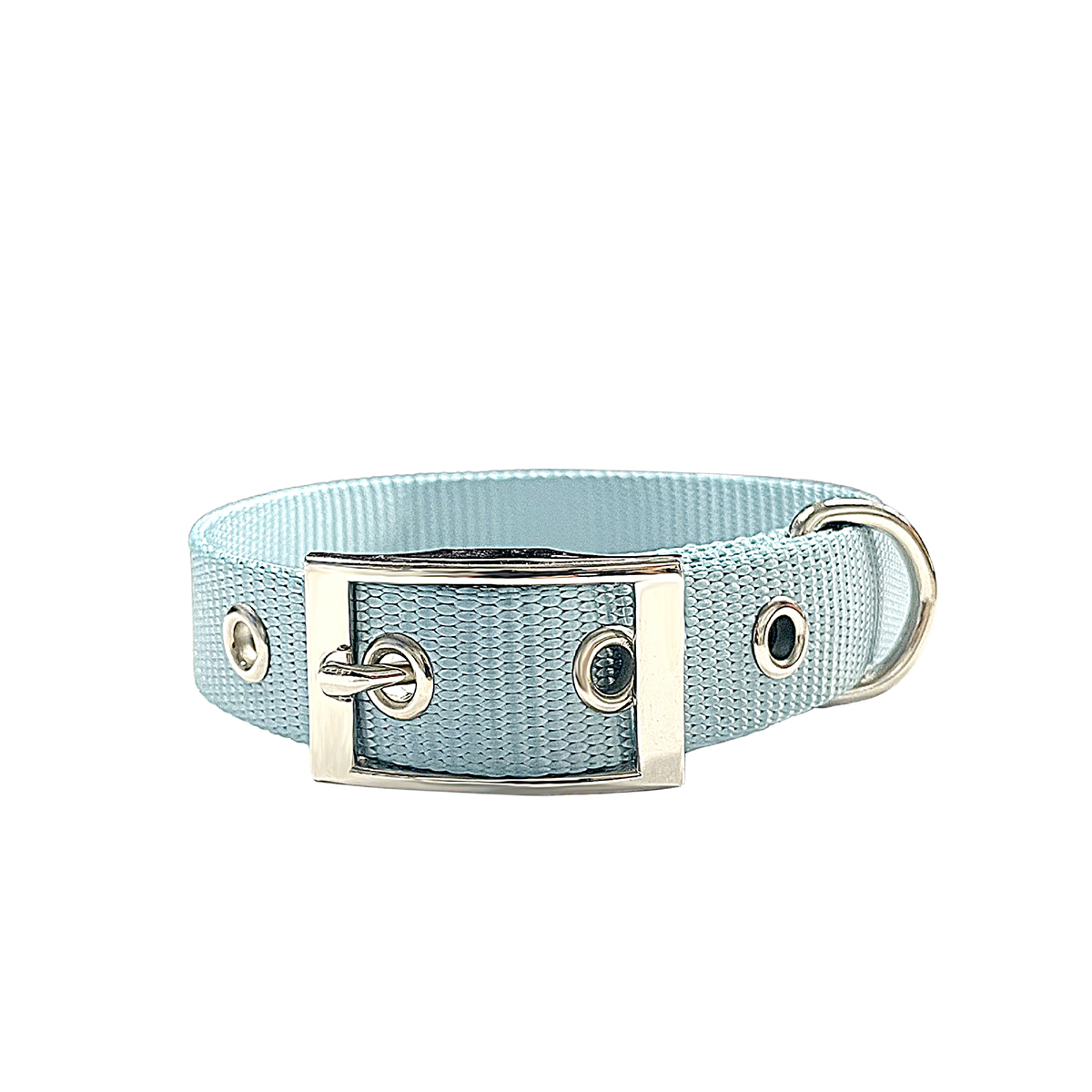 Adjustable Webbing Dog Collar with Buckle_CWMM7446