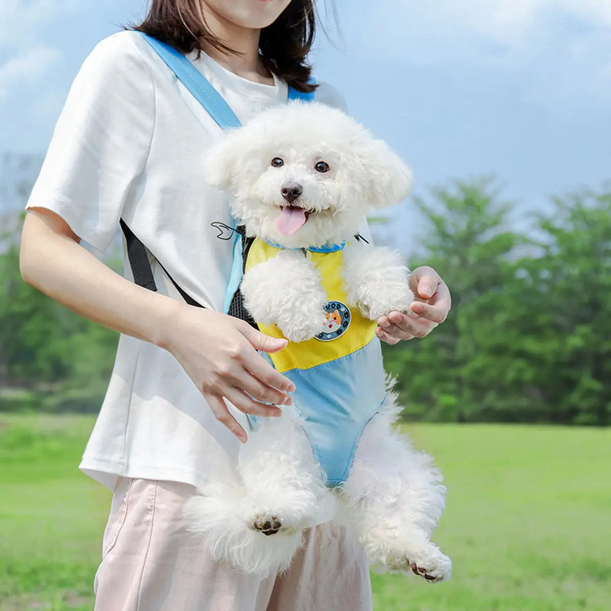 Pet  Carrier Mesh Travel Backpack for Cats Dogs_CWMM6250