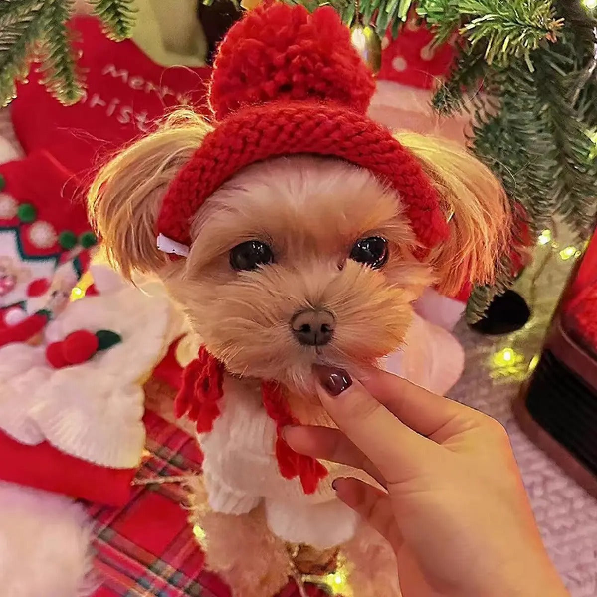 Christmas Knit Hat for Pets – Cute Pom Pom Cap_CWAH3751