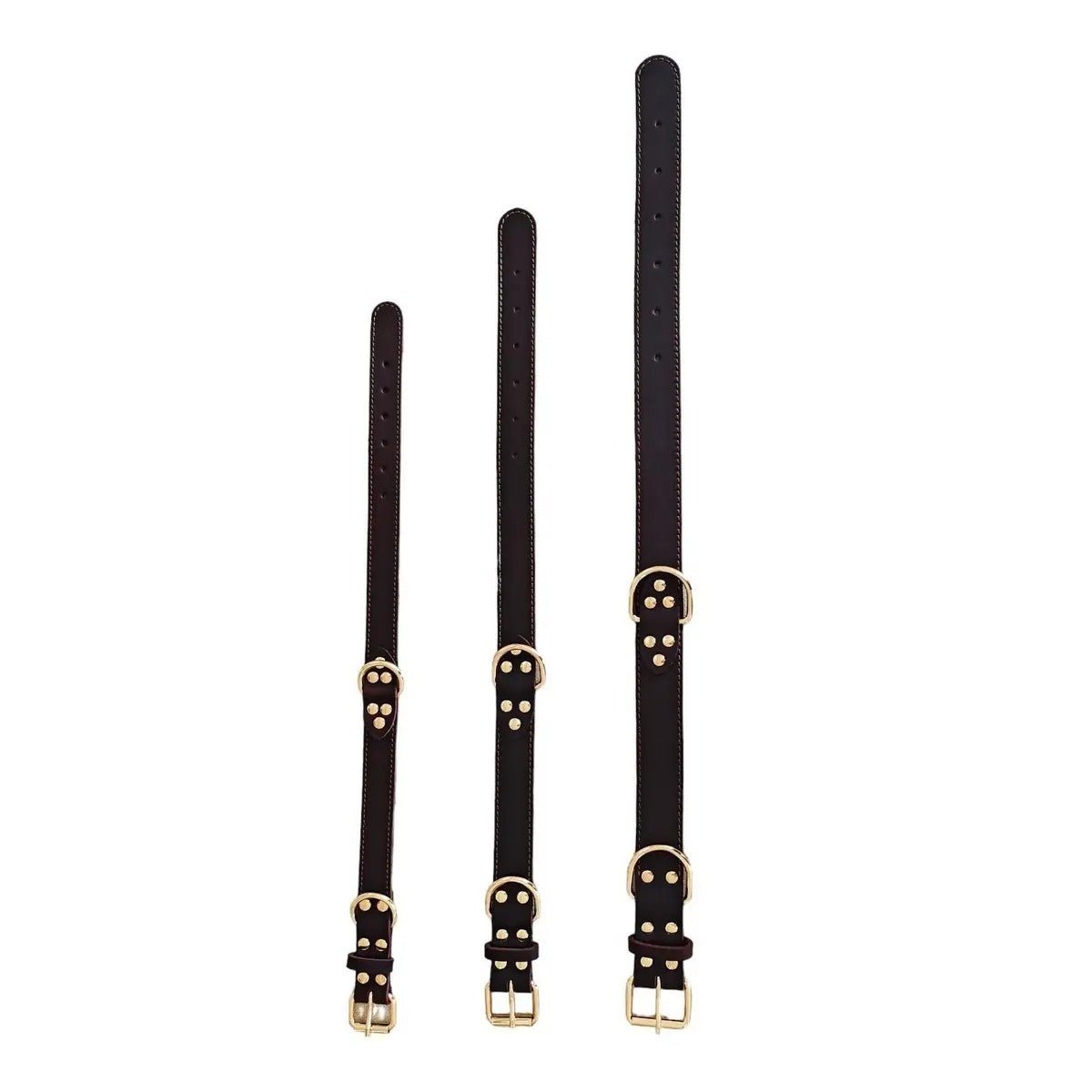 Leather Dog Collar, Double D-Ring, Handmade_CWMM7693