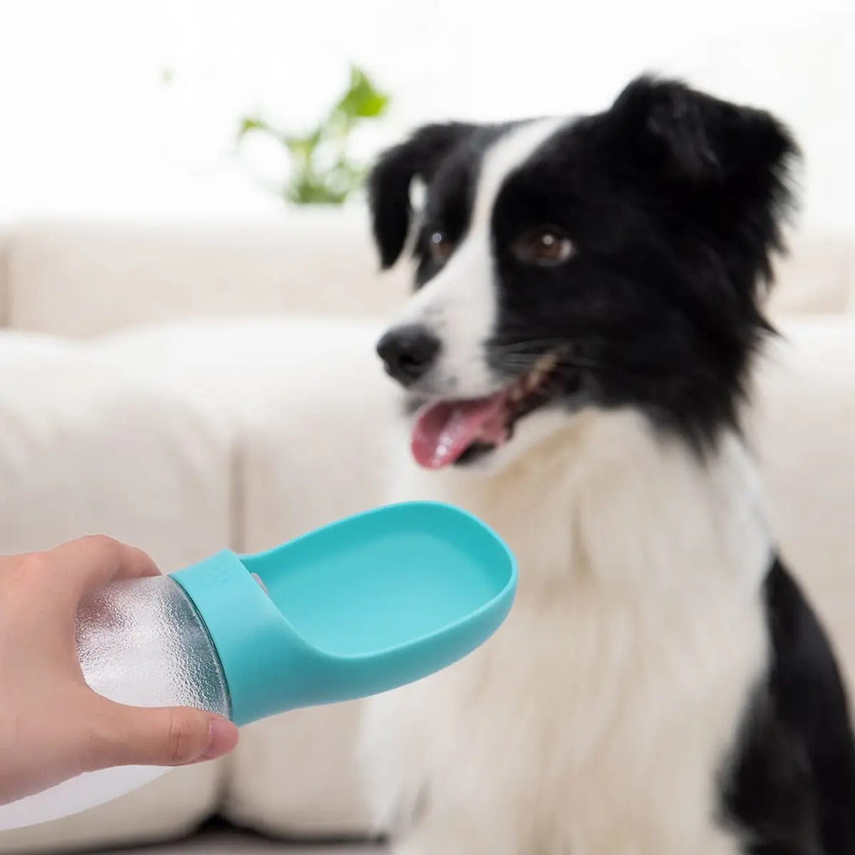 Leakproof Dog Water Dispenser On the Go_CWMM7972