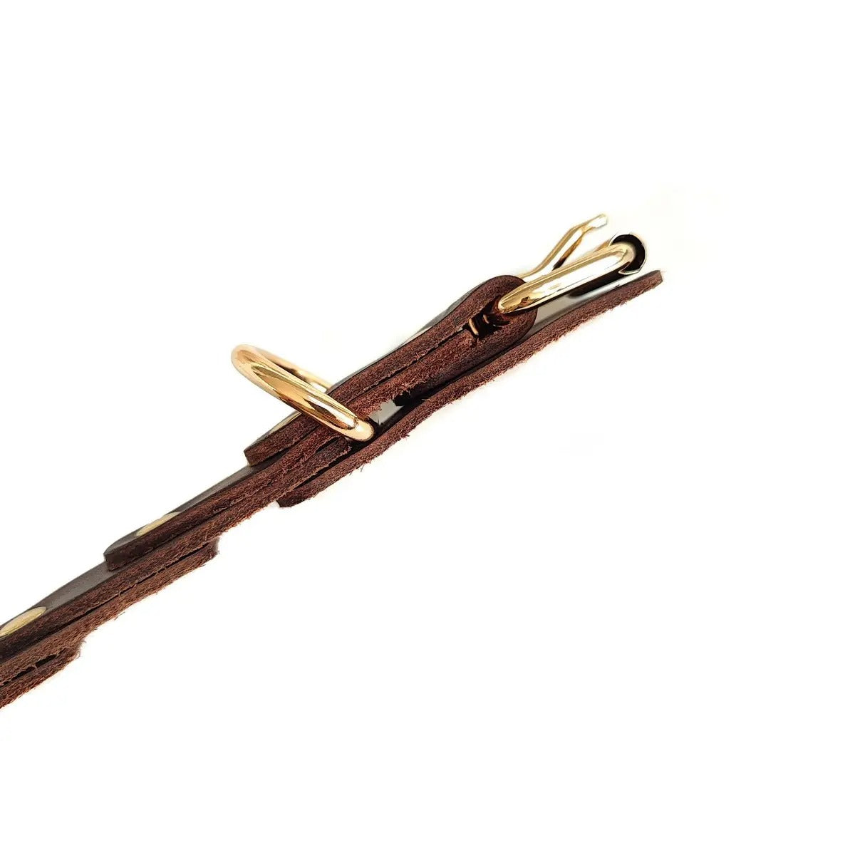 Leather Dog Collar with Rivets, Full-Grain Design_CWMM7706