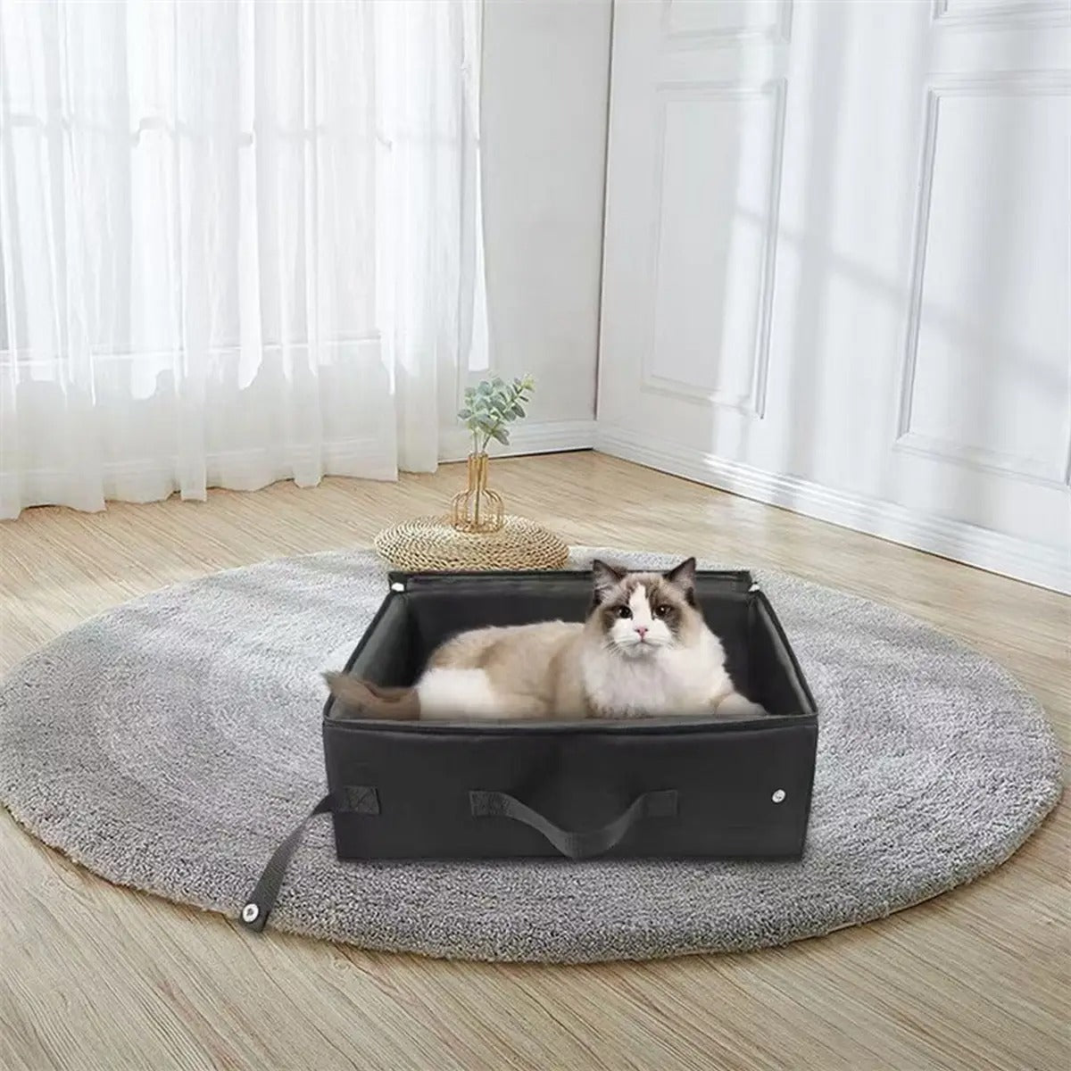 Foldable Waterproof Travel Litter Box for Cats_CWMM5992