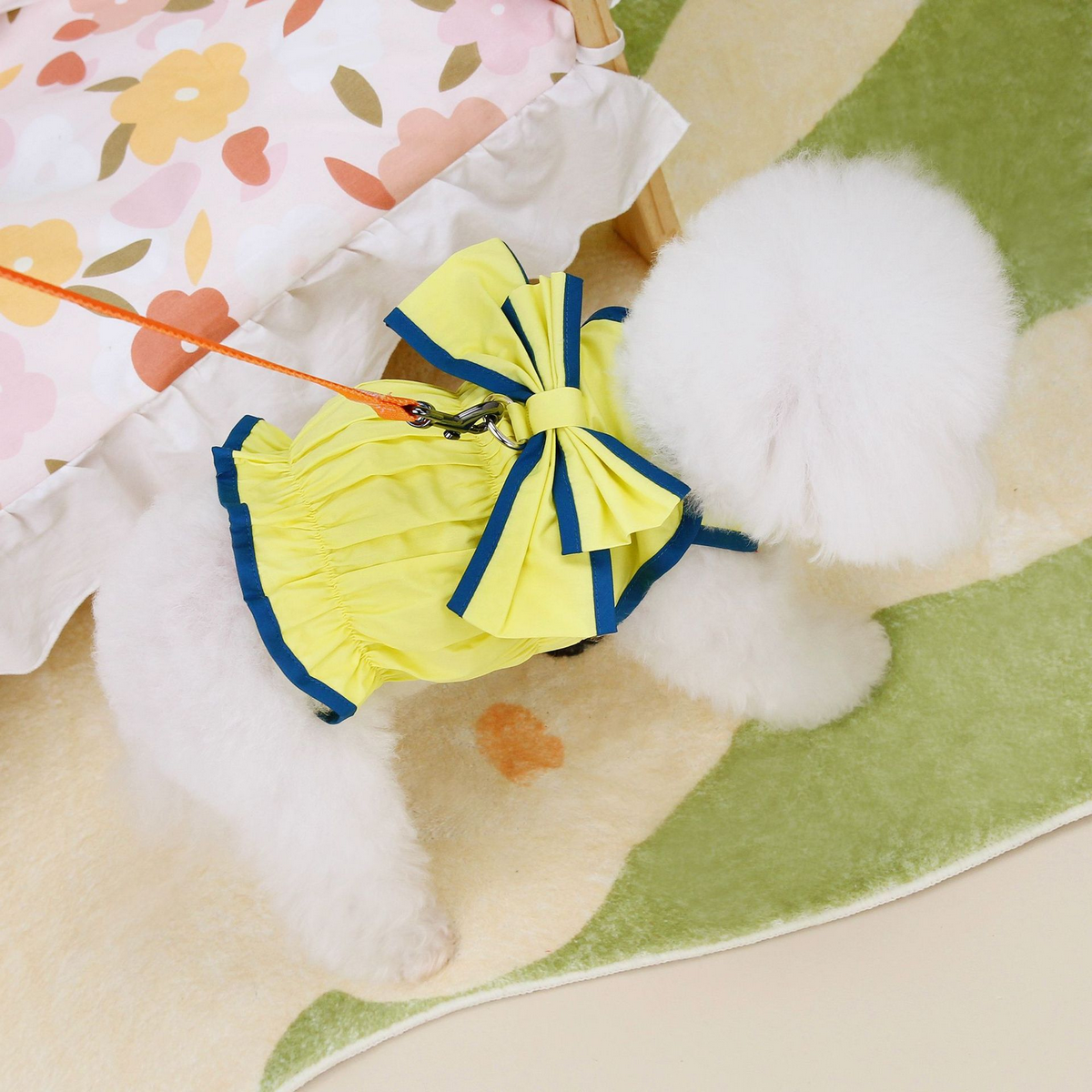 LaChic Pet Dress – Summer Style for Small Dogs_CWMM6981