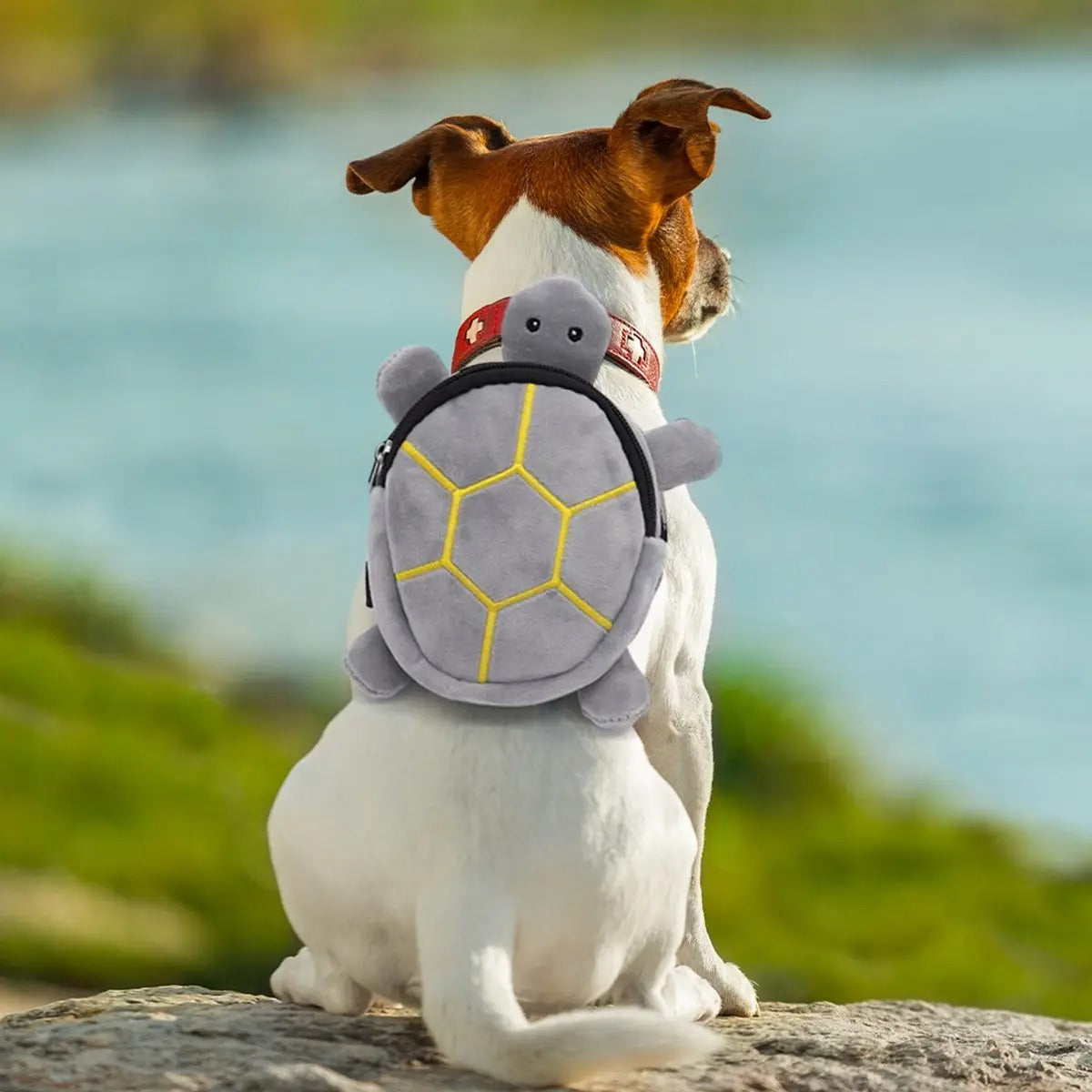 Pet Backpack for Dogs, Snack & Toy Storage Bag_CWMM7966