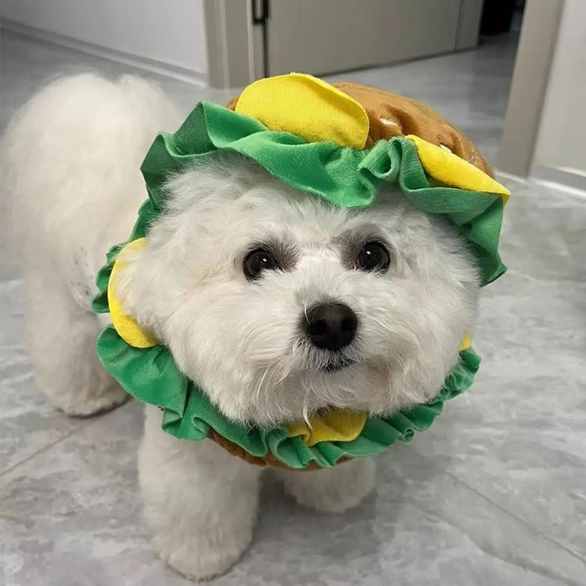 Burger Pet Cone Hat Funny Costume for Cats & Dogs_CWAH3700