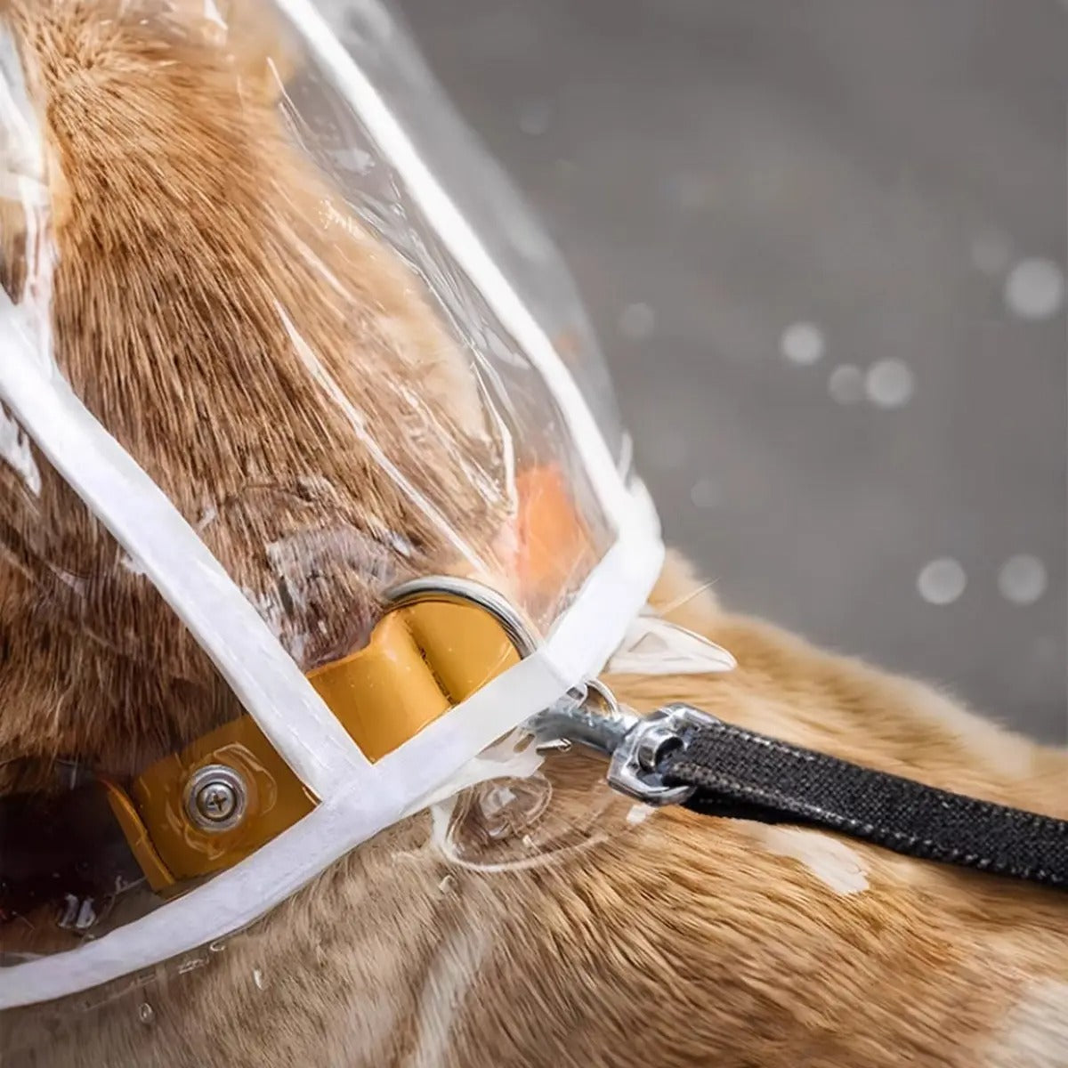 Dog Rain Poncho – Leash Hole, Clear, Waterproof_CWMM7297