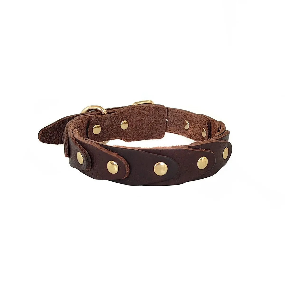 Leather Dog Collar with Rivets, Full-Grain Design_CWMM7706