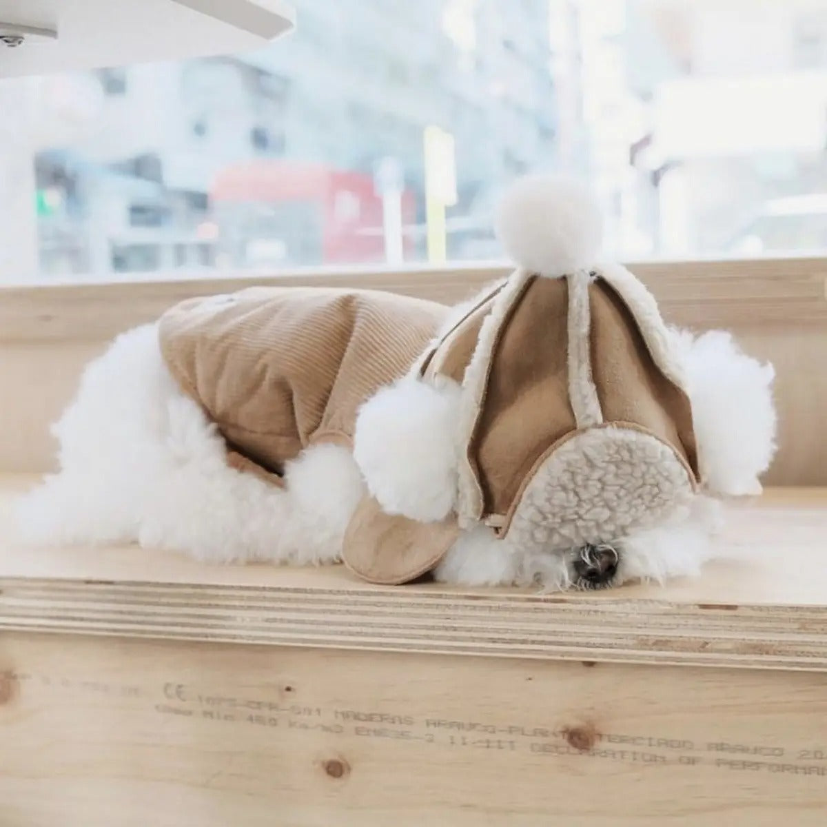 Fleece Pet Hat – Warm & Windproof for Dogs & Cats_CWAH3699