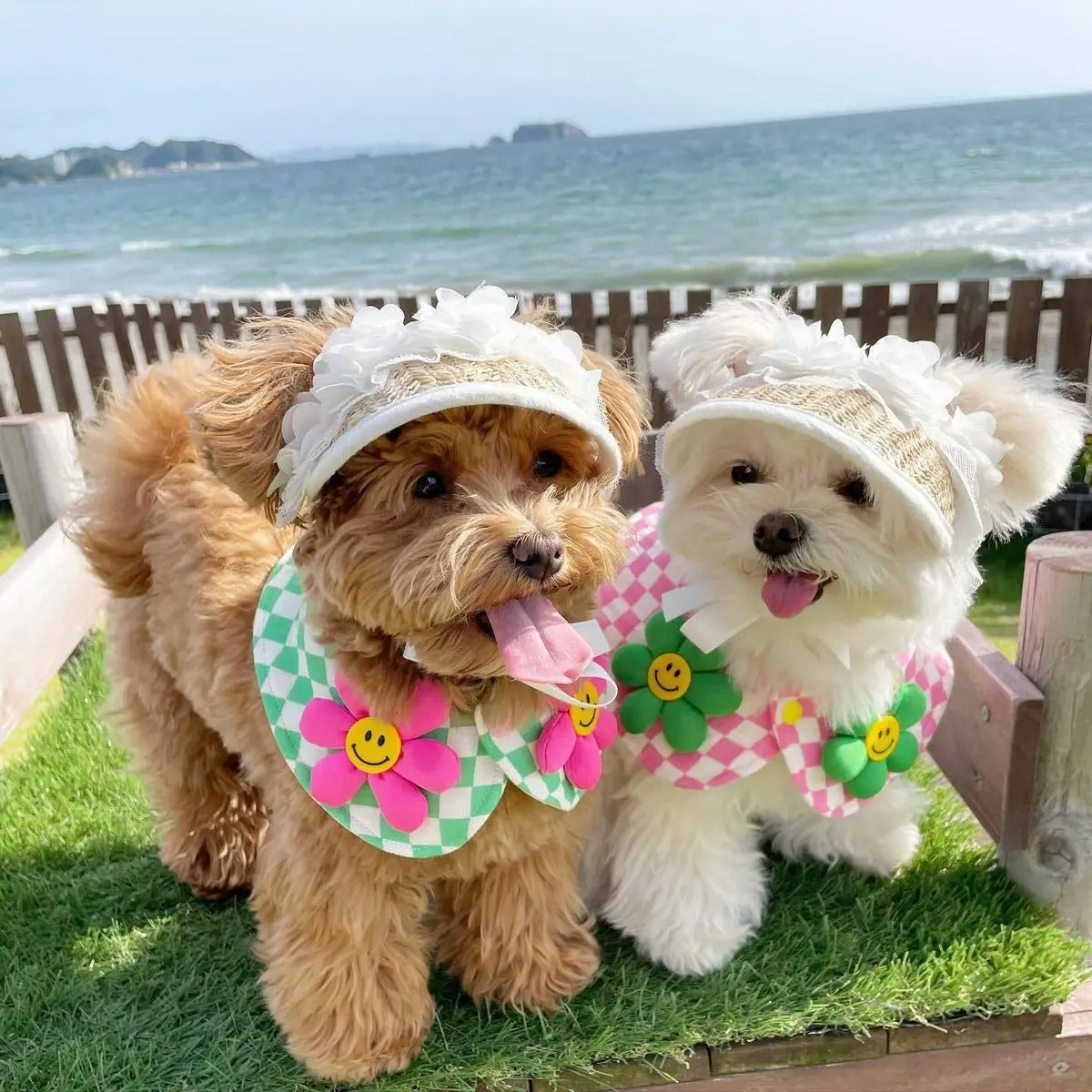 Lace Straw Sun Hat for Pets Adjustable Cat Dog Cap_CWAH3746