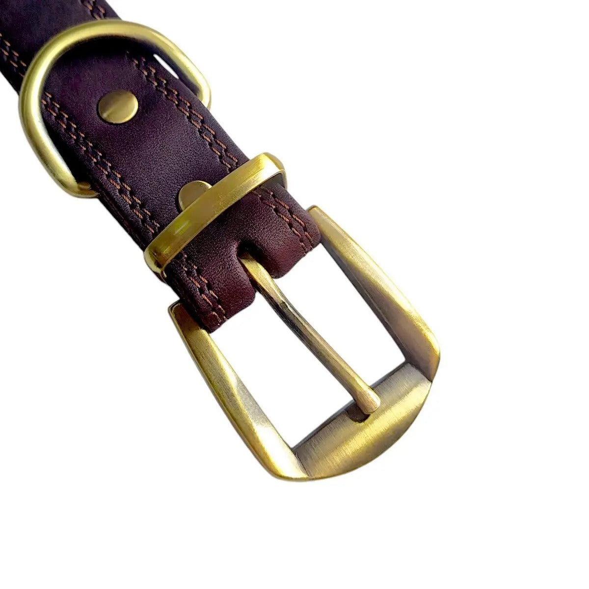 Full Grain Cowhide Leather Pet Collar with D-Rings_CWMM7678