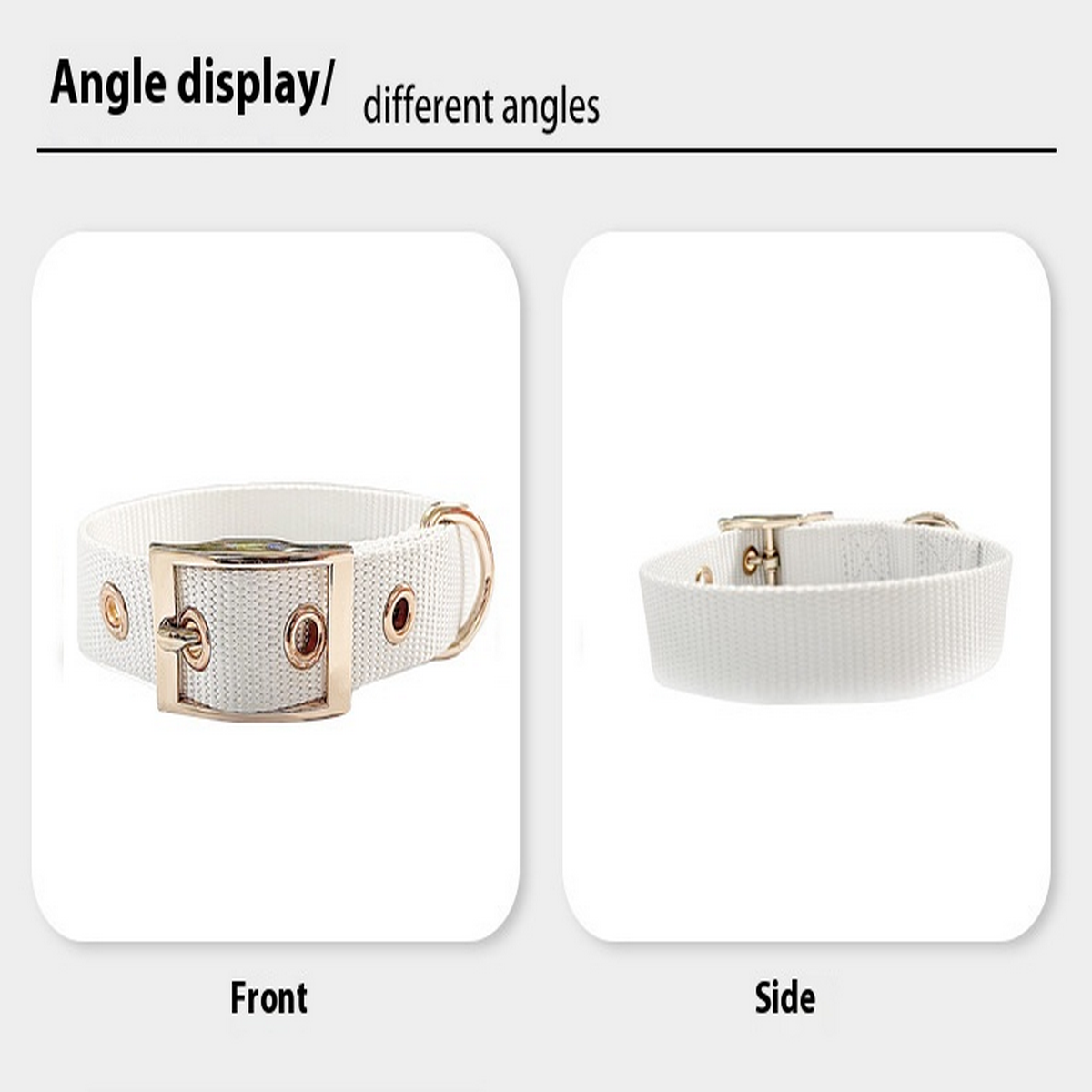 Adjustable Webbing Dog Collar with Buckle_CWMM7446