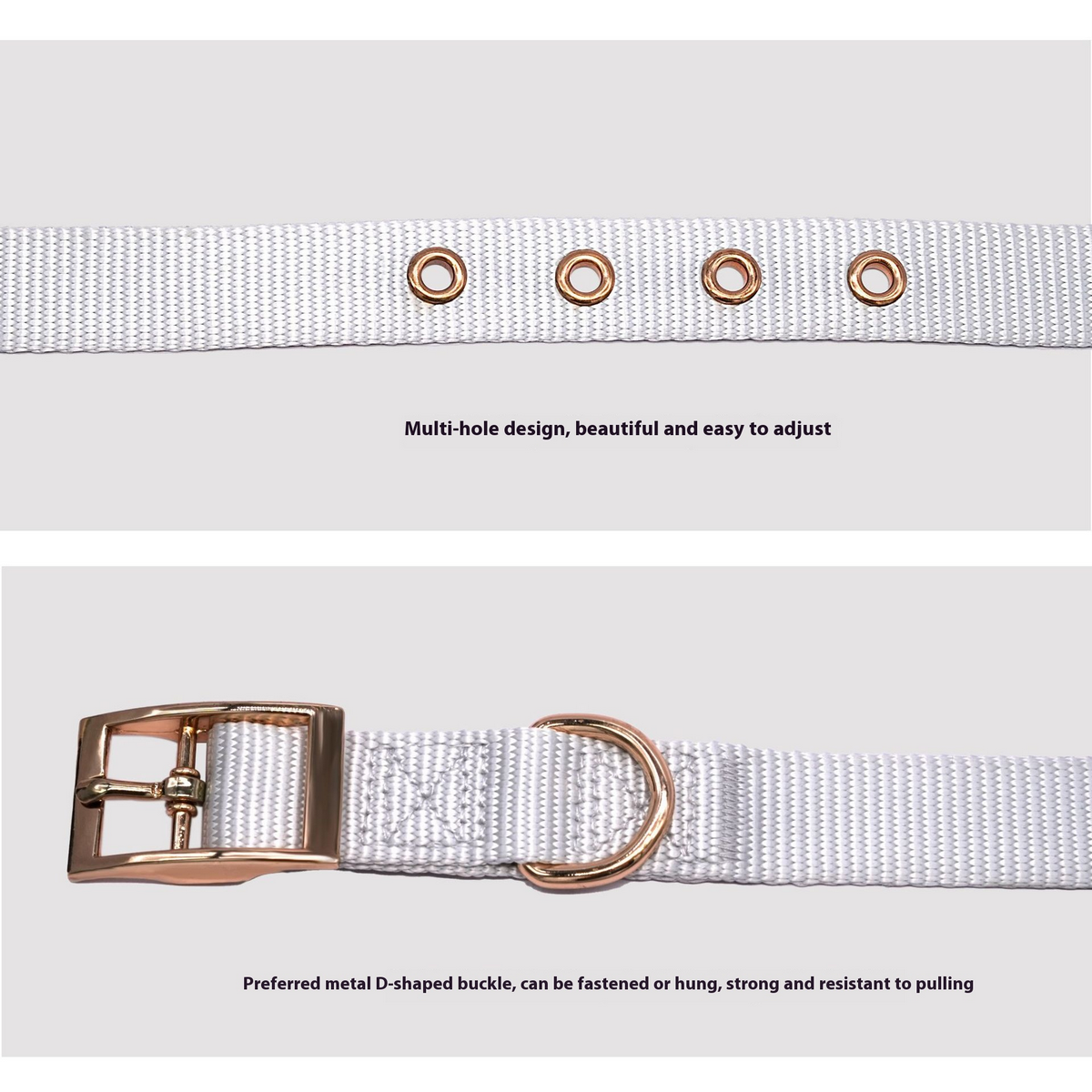Adjustable Webbing Dog Collar with Buckle_CWMM7446