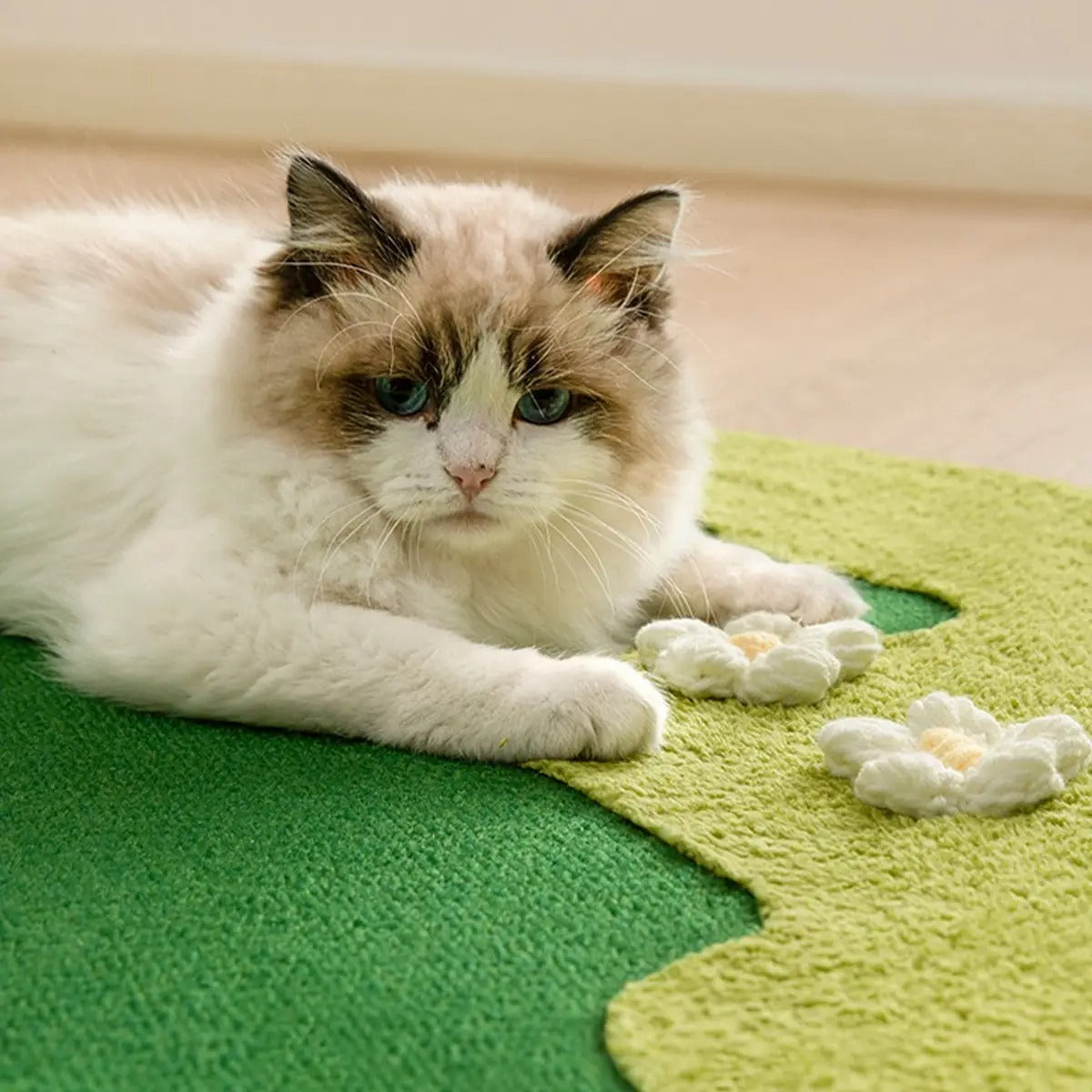 Durable Cat Scratching Mat, Non-Shed_CWMM7041