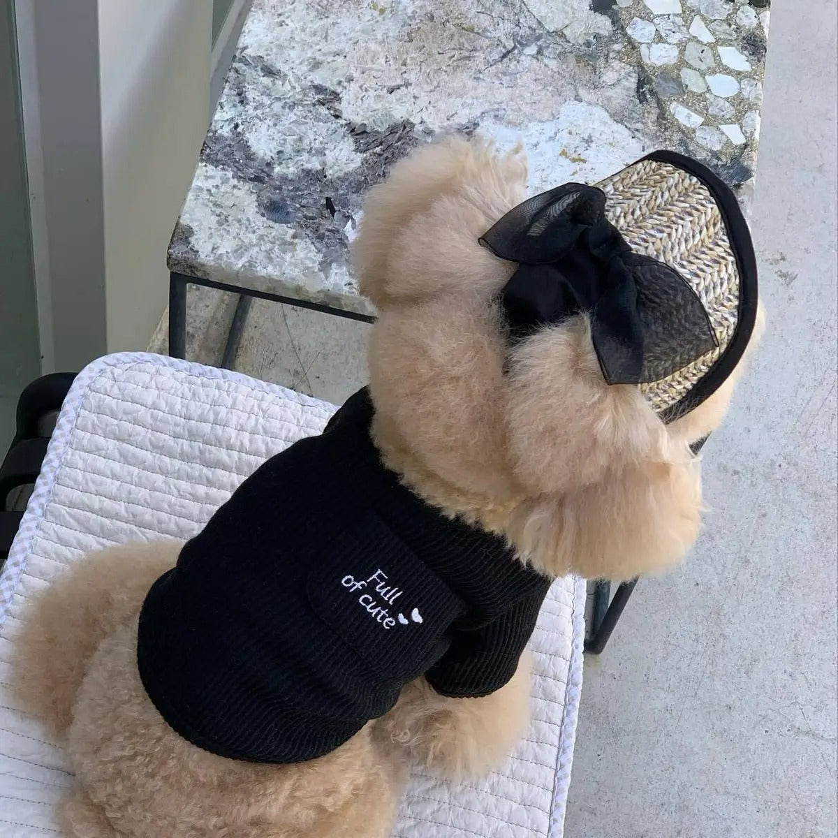 Lace Straw Sun Hat for Pets Adjustable Cat Dog Cap_CWAH3746