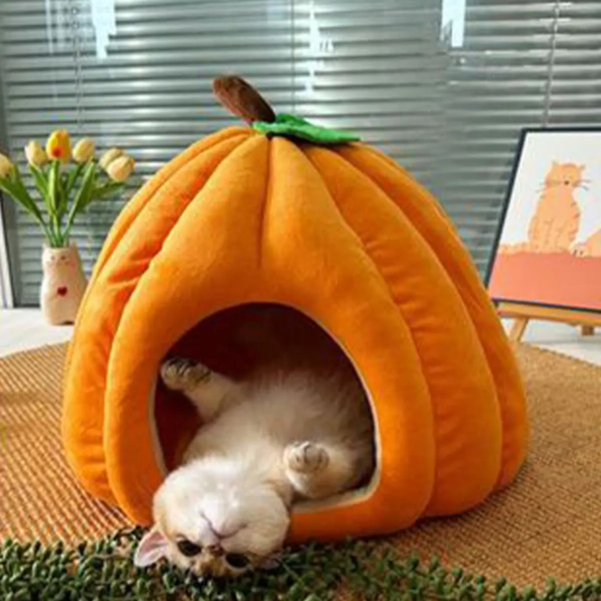 Cozy Pumpkin Pet Cave Bed Winter Plush Washable_CWMM6622