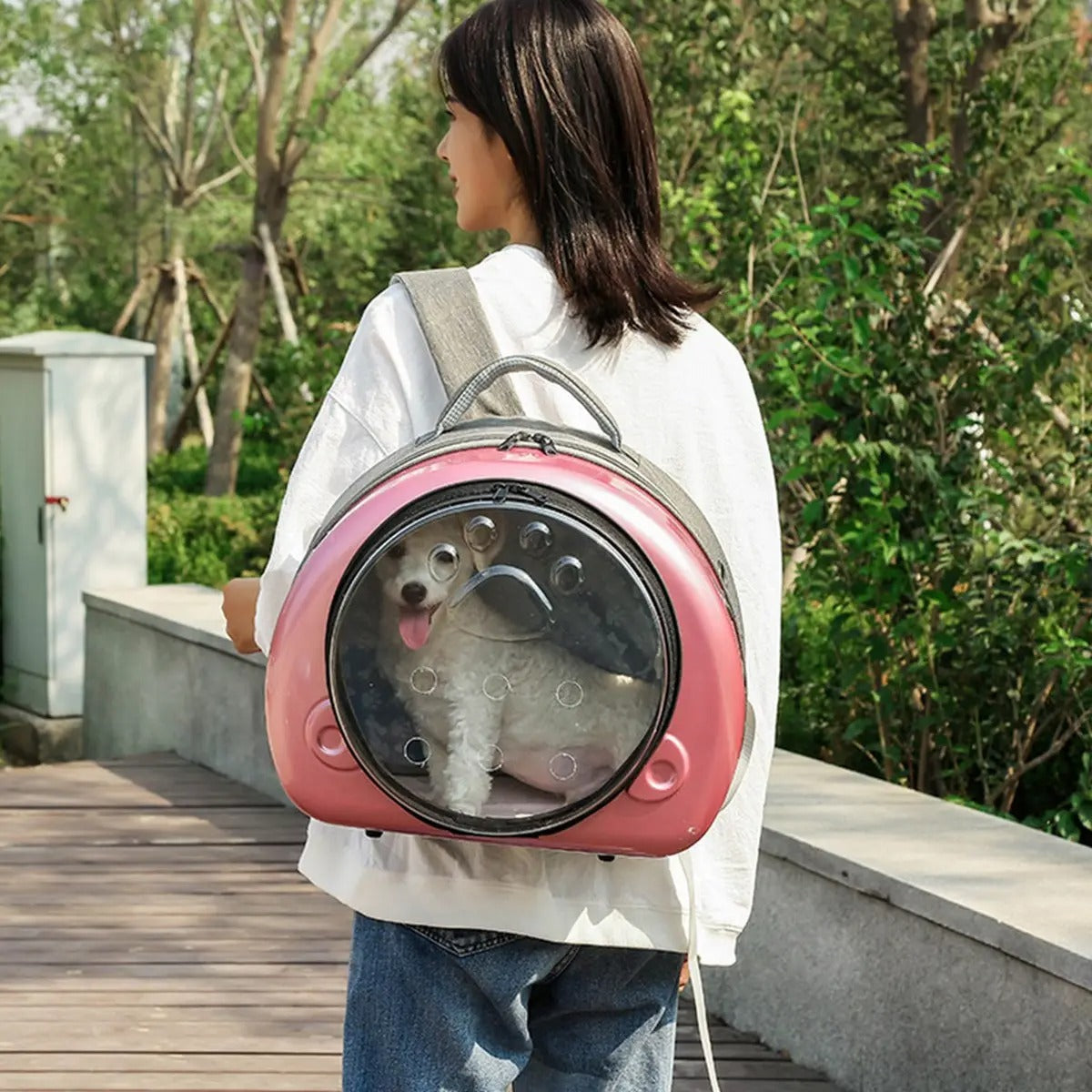 Pet Backpack Carrier, Ventilated Space Capsule_CWMM6935