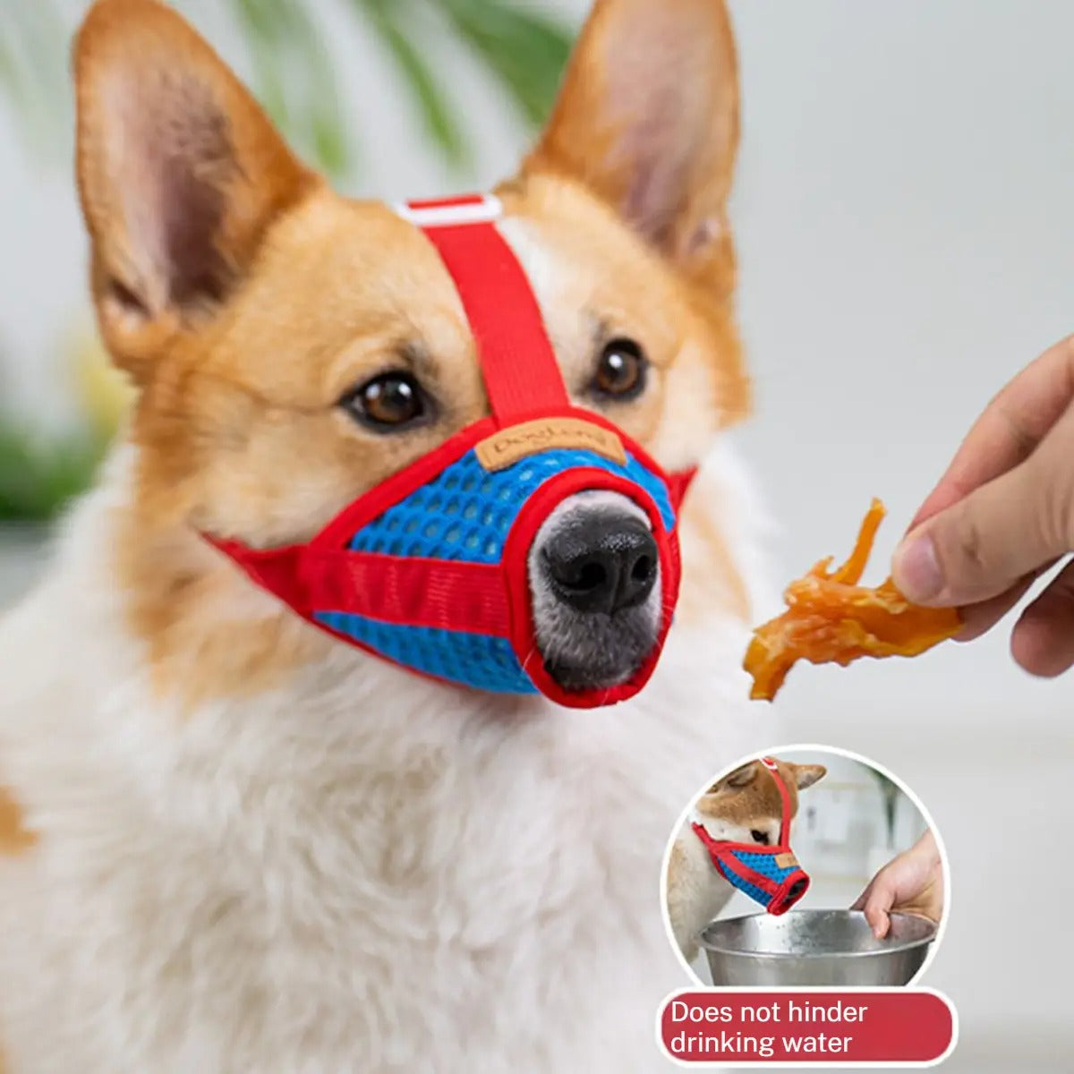 Mesh Dog Muzzle – Adjustable for Small Dogs_CWMM7263