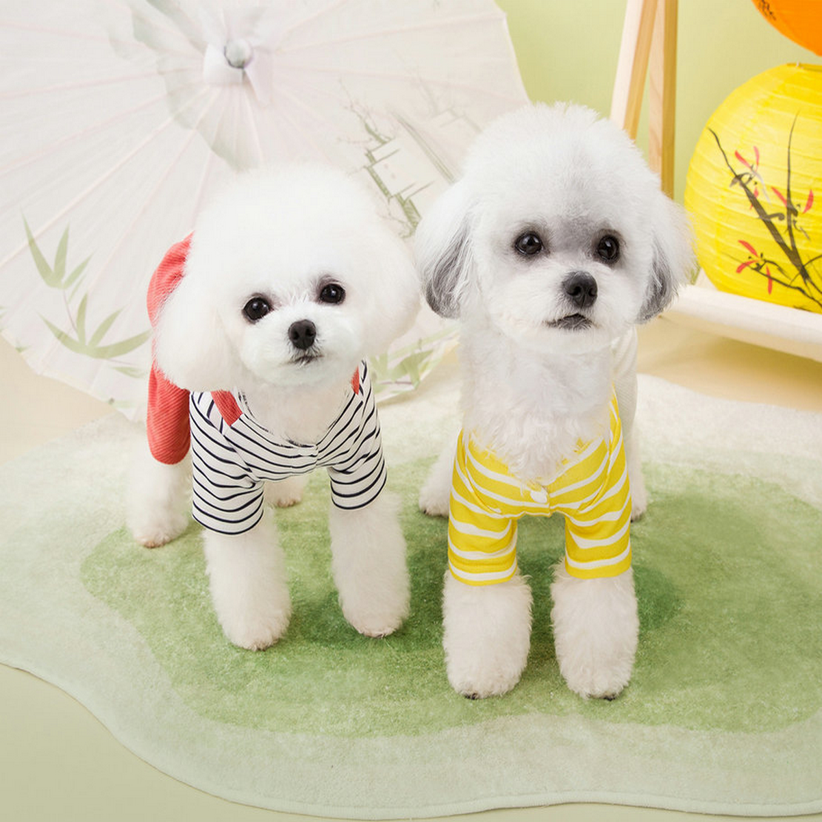 PawSuit Leash-Ready Pet Jumpsuit – Spring Wear_CWMM6985