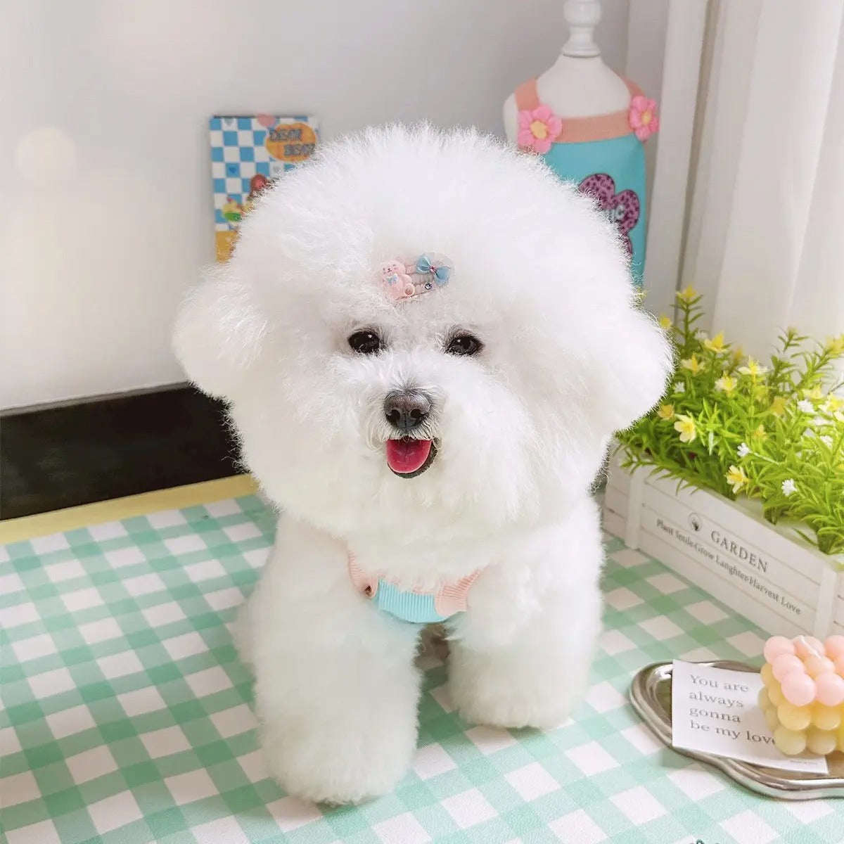 New Ins-Style Pet Vest – Breathable Ice Silk Cotton_CWMM5852