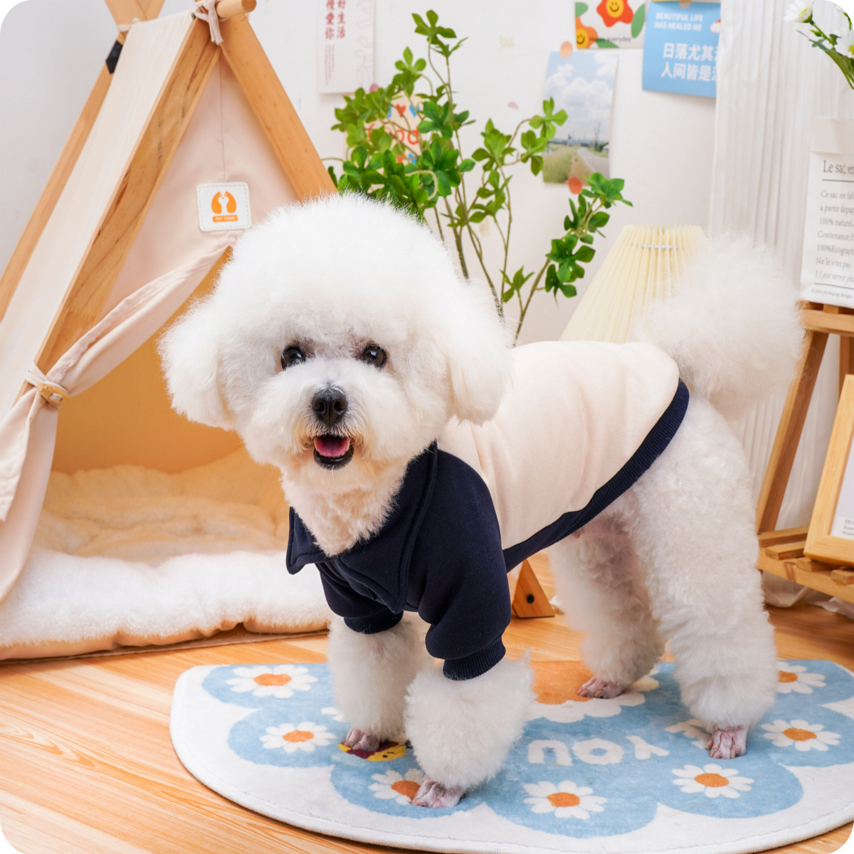 Panda Plush Pet Hoodie – Cute Dog & Cat Sweatshirt_CWMM7344