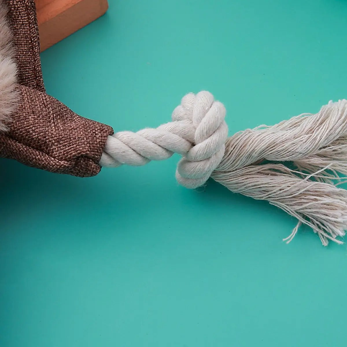 Cute cartoon sounding cat toy - safe and non-toxic_CWMM5419