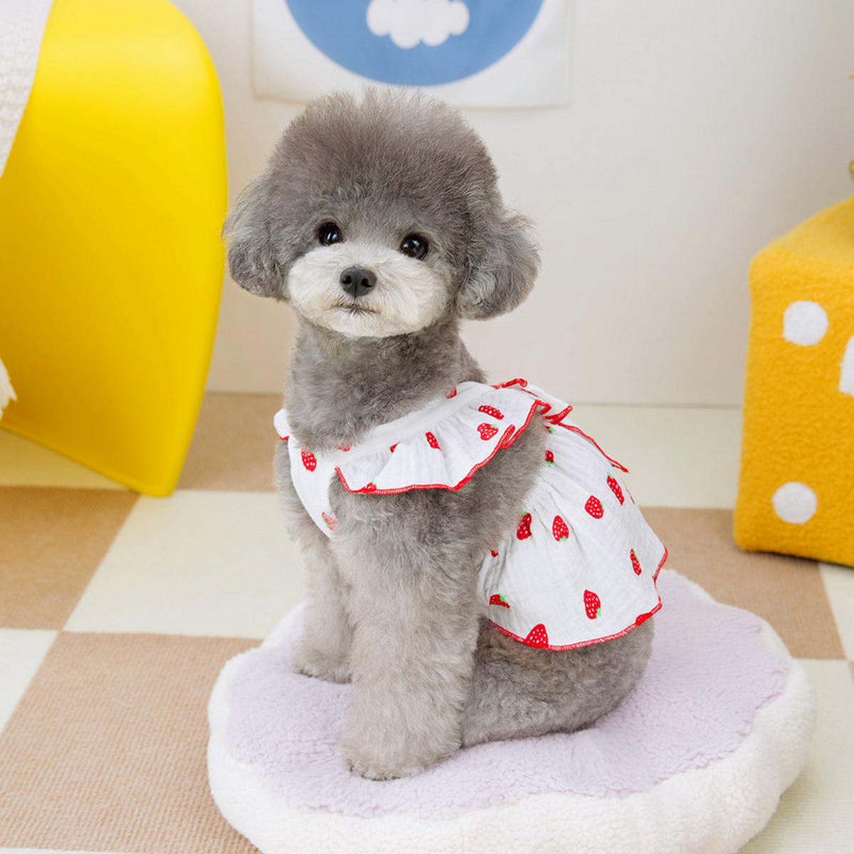 FloralPaw Princess Dress – Spring Pet Outfit_CWMM6984