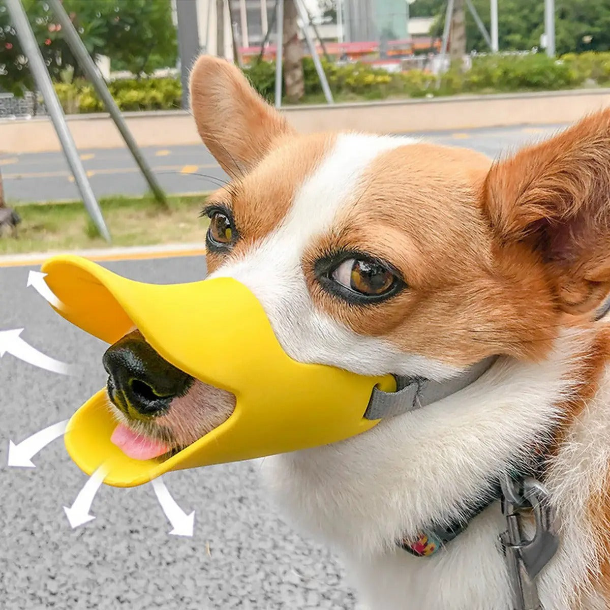 Adjustable Dog Muzzle for Biting & Chewing_CWMM6264