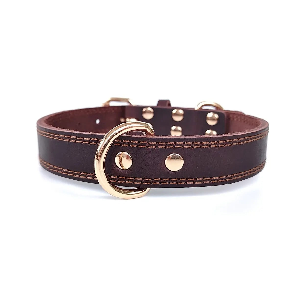 Full Grain Leather Pet Collar with D-Rings_CWMM7677