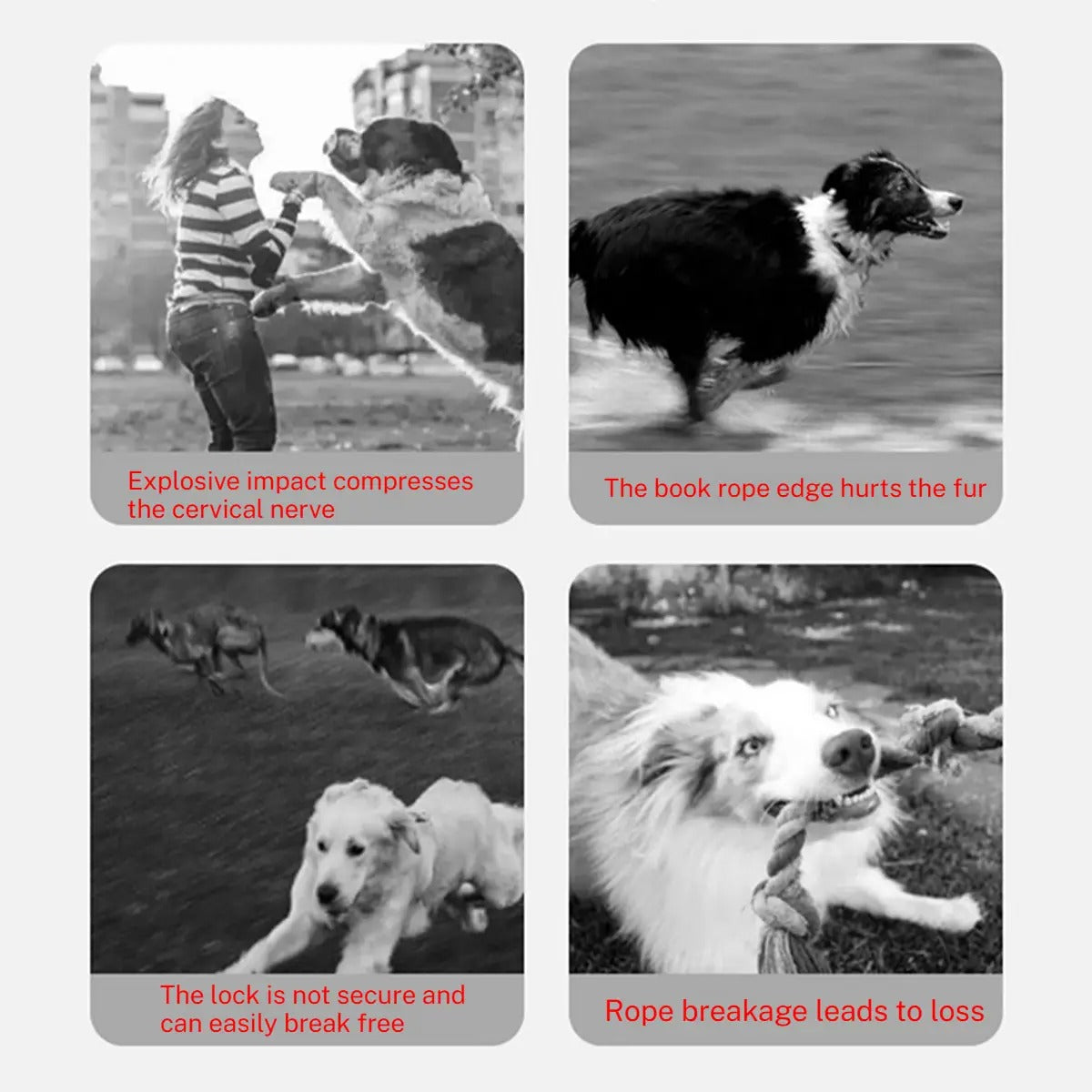 Heavy Duty Dog Leash for Medium & Large Dogs_CWMM7270