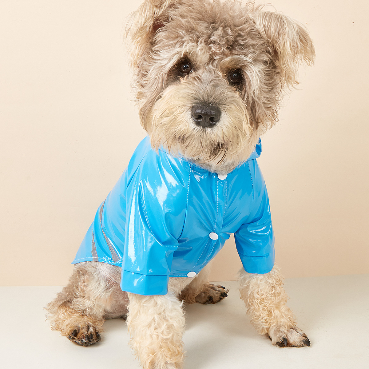 PU Dog Raincoat with Reflective Hood_CWMM7309