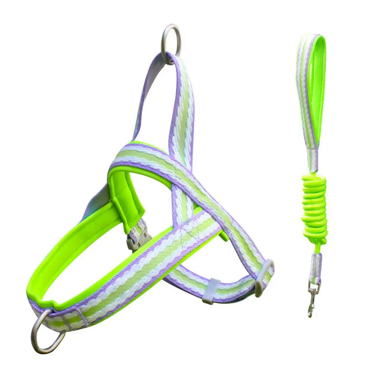 Pet  Harness Leash Combo for Walking & Training_CWMM5954