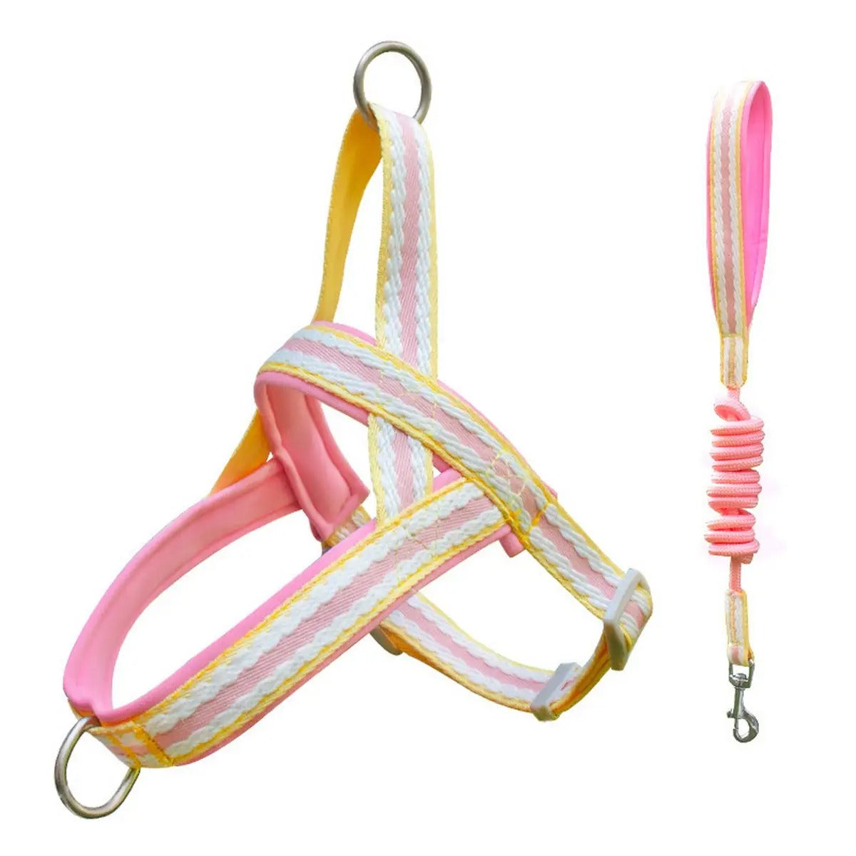 Pet  Harness Leash Combo for Walking & Training_CWMM5954