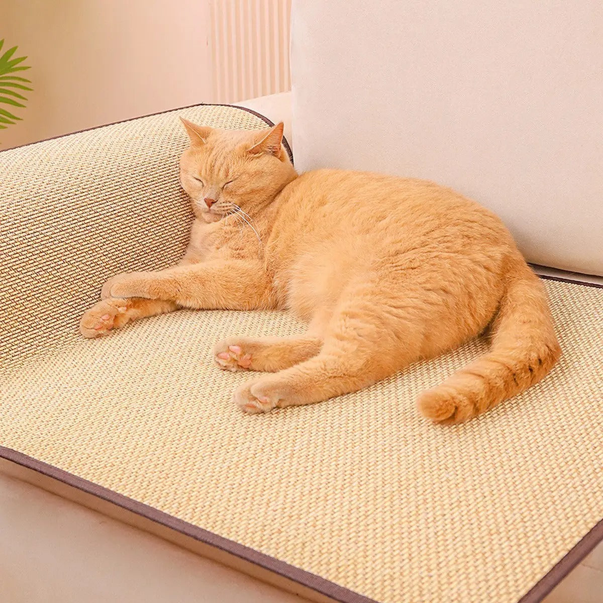 Anti-Scratch Cat Mat Sofa Protector Durable_CWMM6296