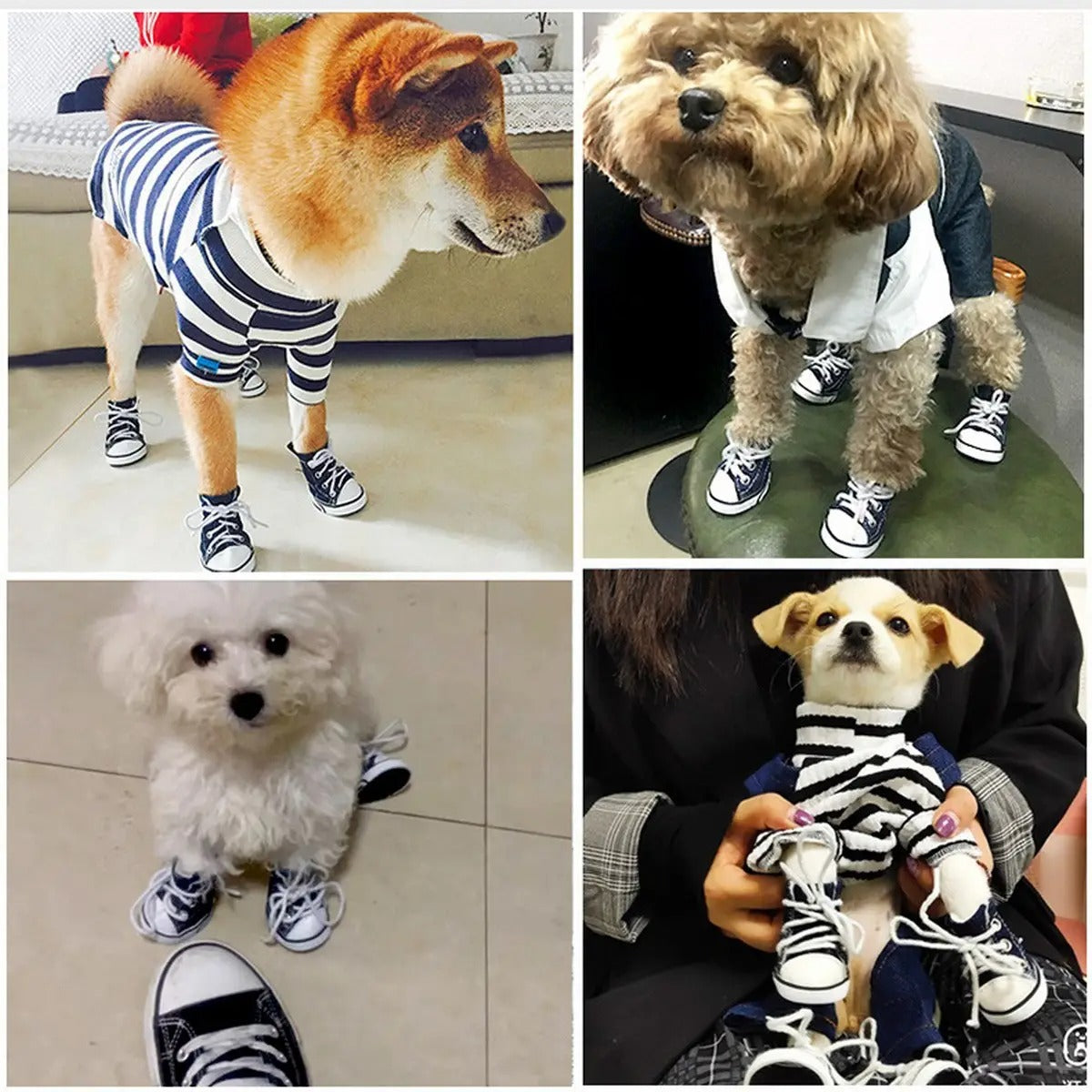 All-Season Canvas Dog Shoes – Casual & Durable_CWMM7256