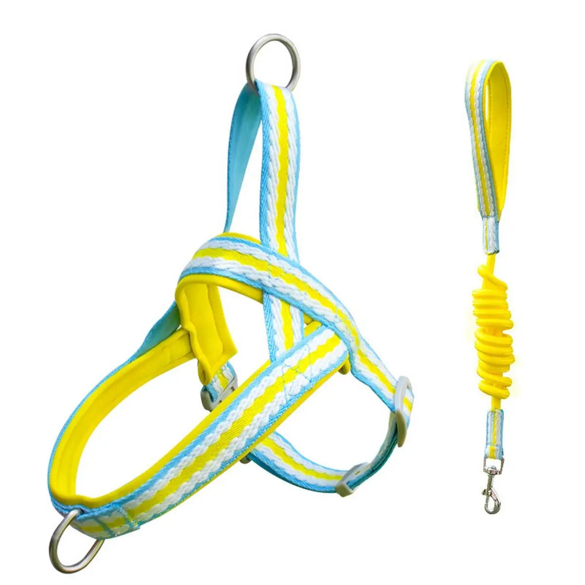 Pet  Harness Leash Combo for Walking & Training_CWMM5954