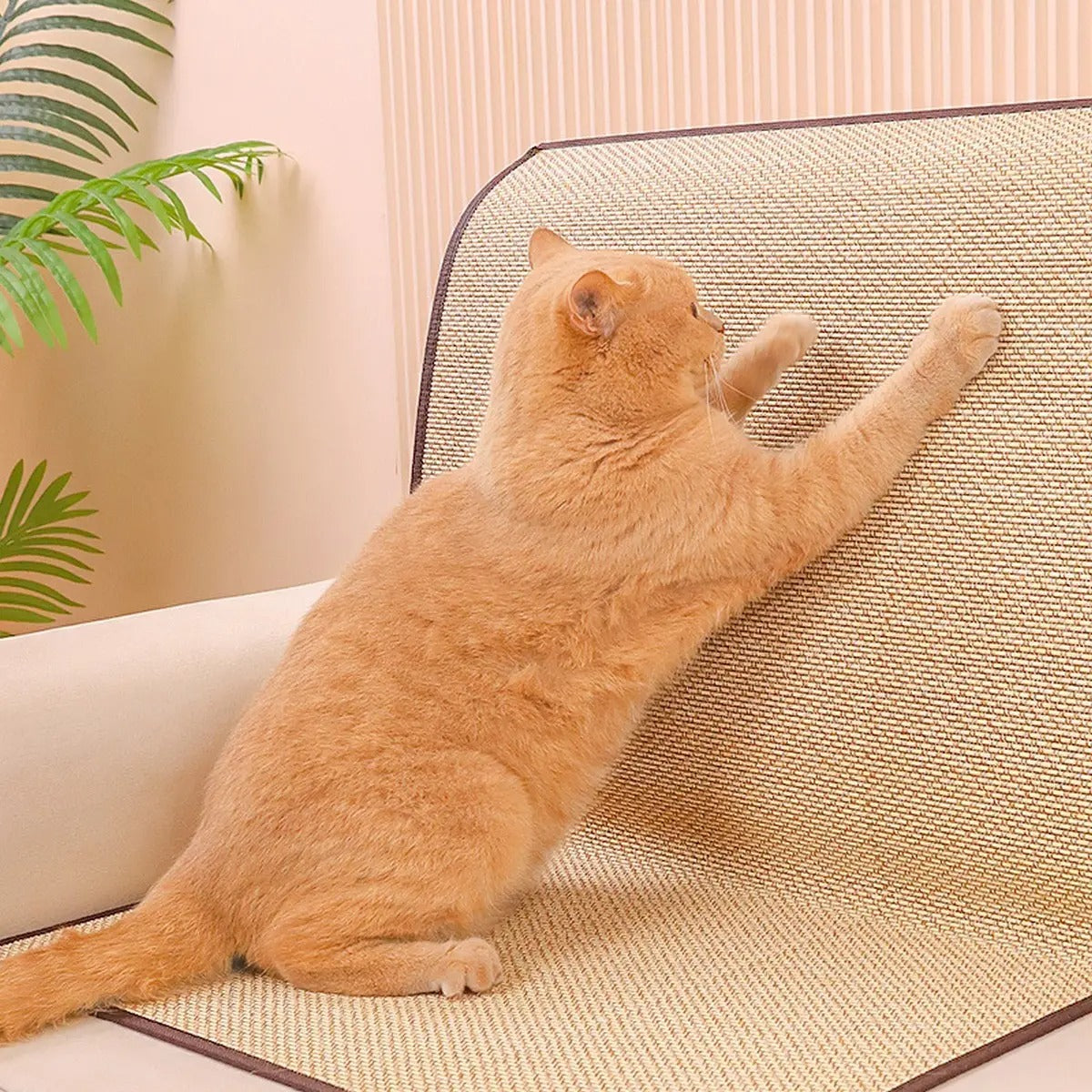 Anti-Scratch Cat Mat Sofa Protector Durable_CWMM6296