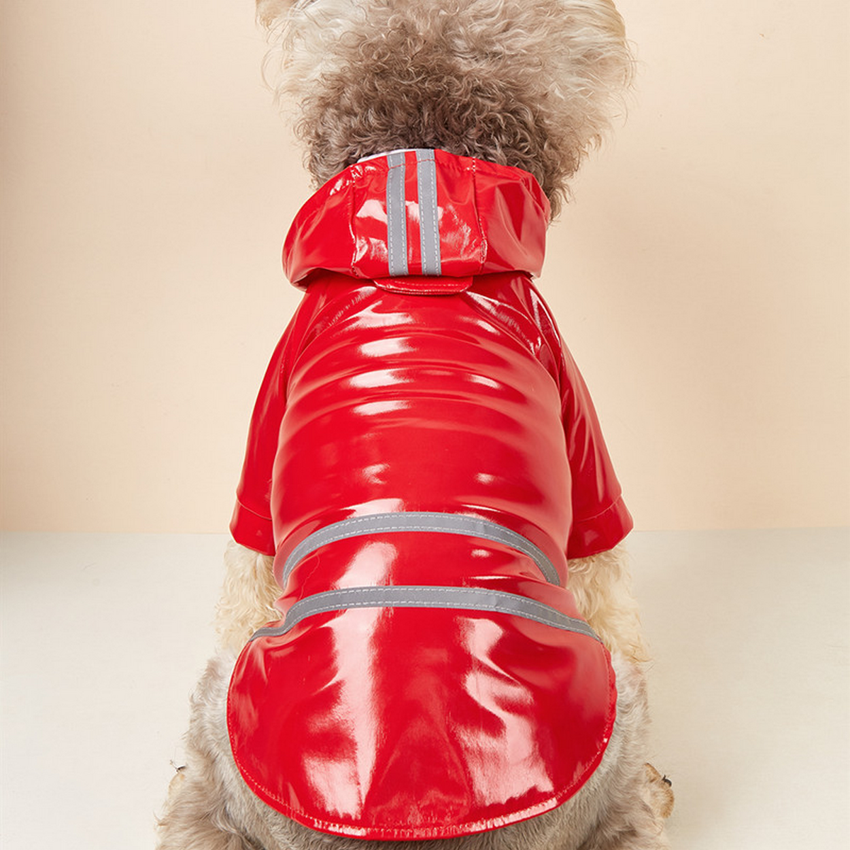 PU Dog Raincoat with Reflective Hood_CWMM7309
