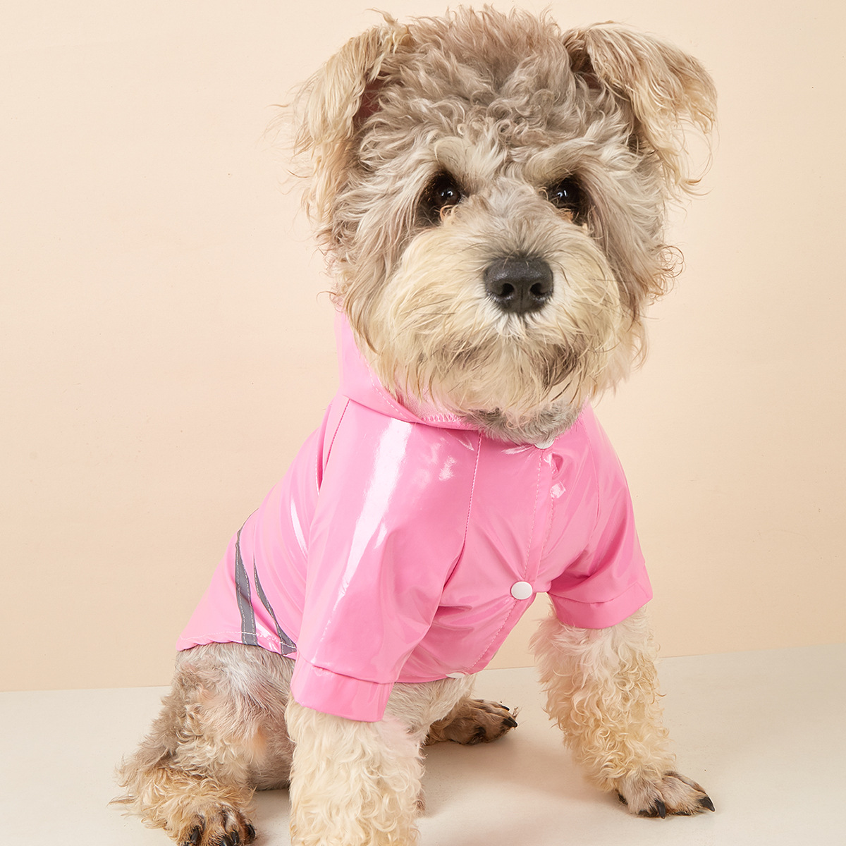 PU Dog Raincoat with Reflective Hood_CWMM7309