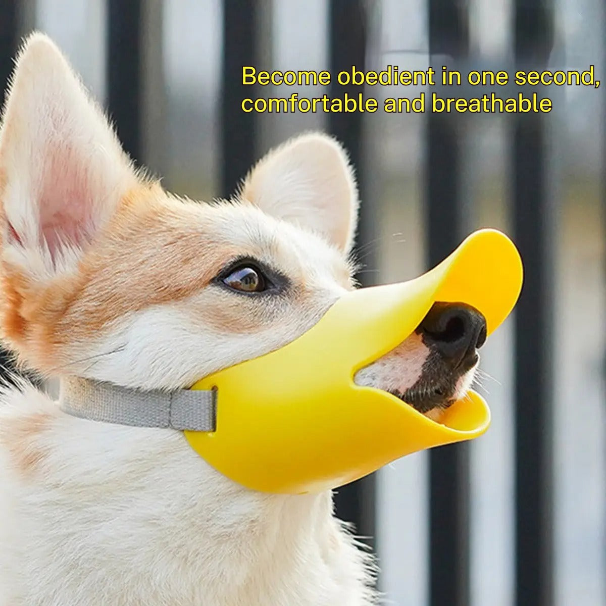 Adjustable Dog Muzzle for Biting & Chewing_CWMM6264