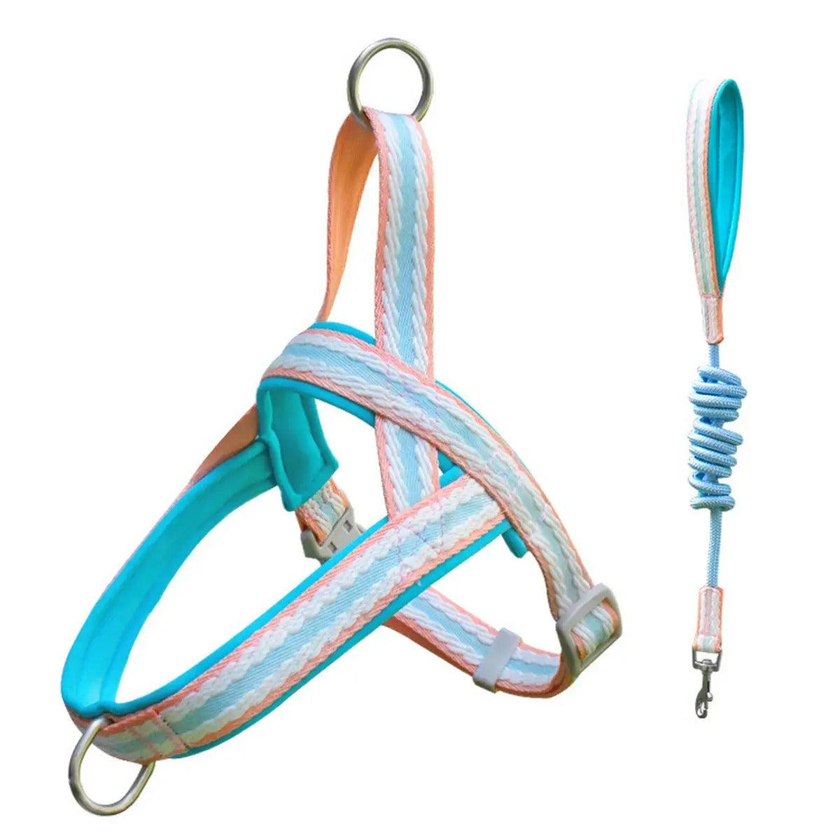 Pet  Harness Leash Combo for Walking & Training_CWMM5954